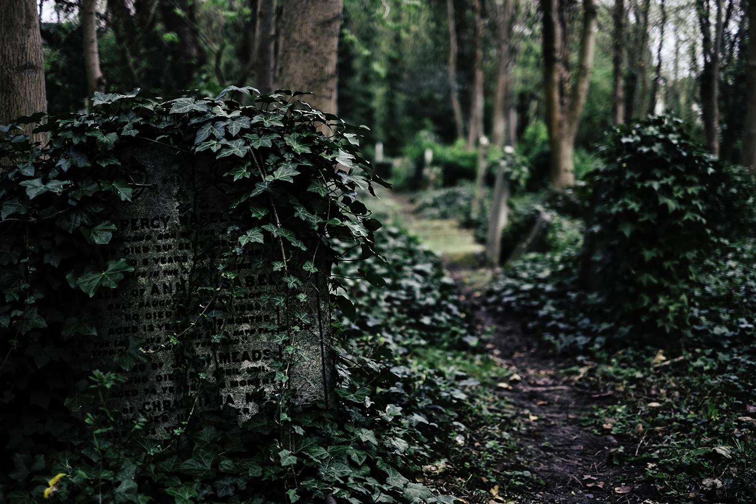 Percy. East Cemetery.