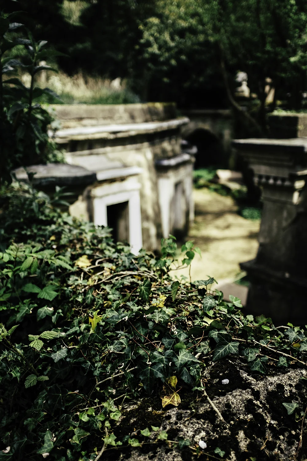 Circle of Lebanon. West Cemetery.