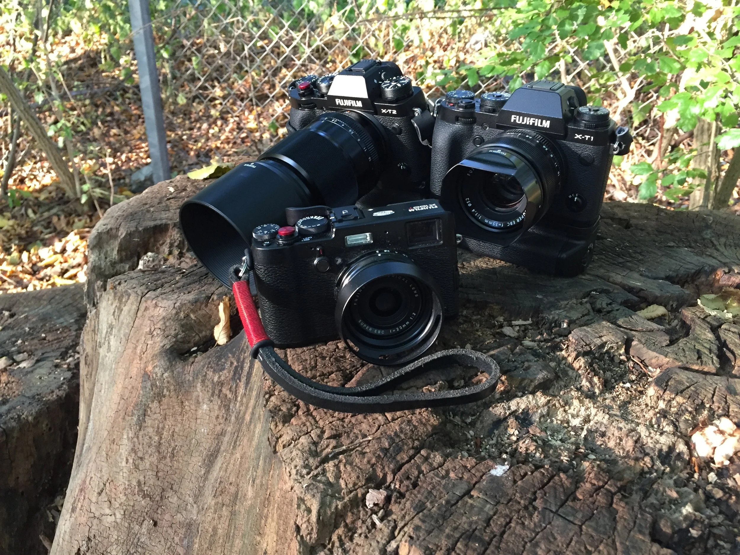 The whole family. Shot with iPhone 6.