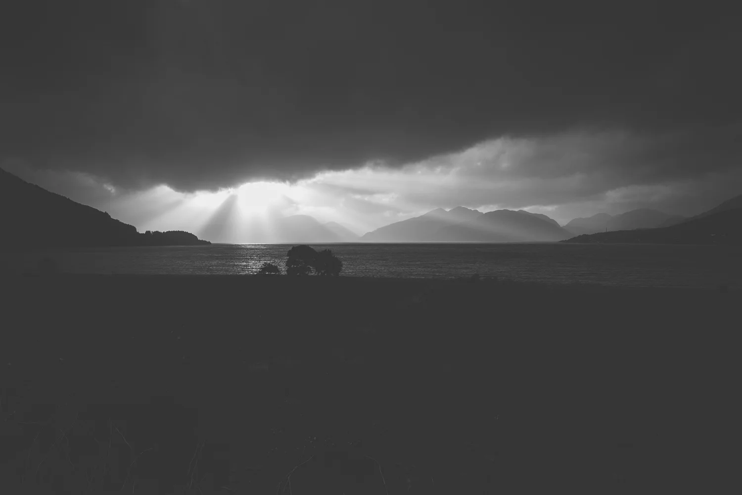 IMG_5323.jpg