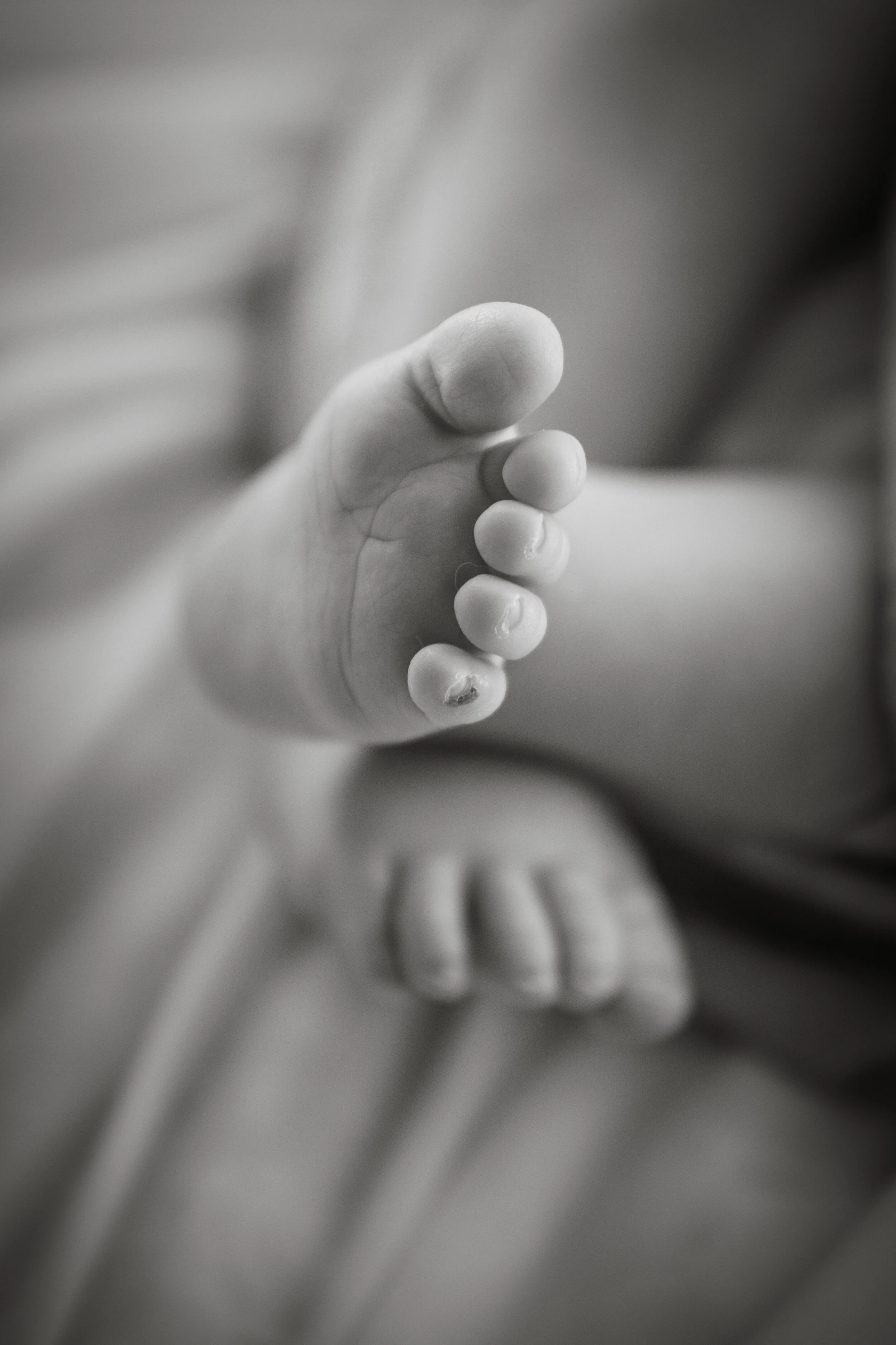 forsbergnewborn_2020-842-2.jpg
