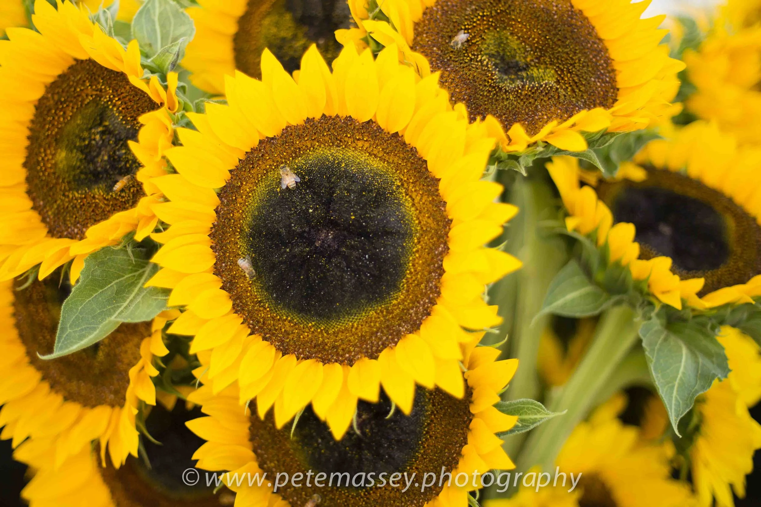 Manhattan Mid-Town Market (1 of 1).jpg