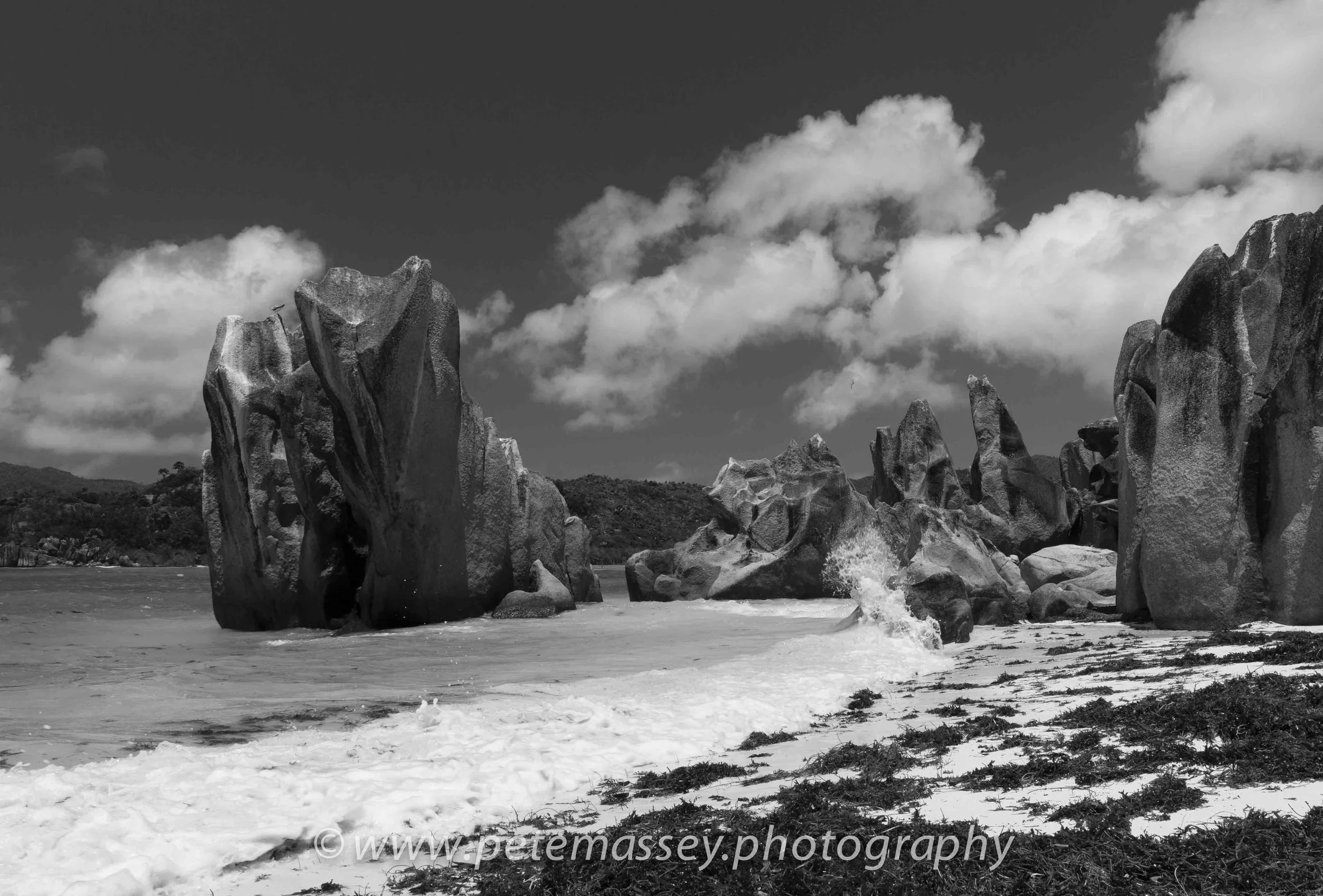 Website Photo (13 of 13).jpg