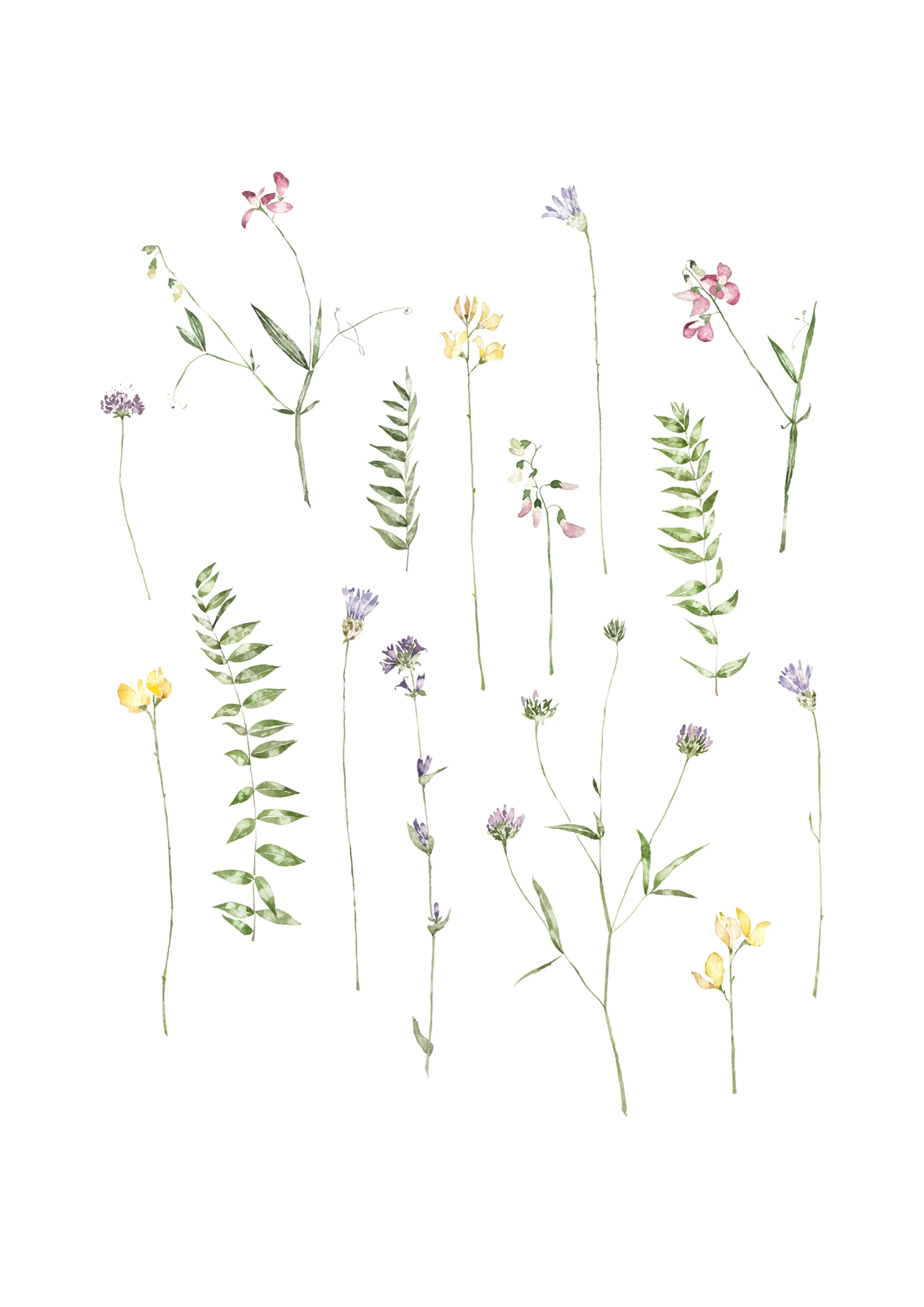 home from creche wildflowers_octon.jpg
