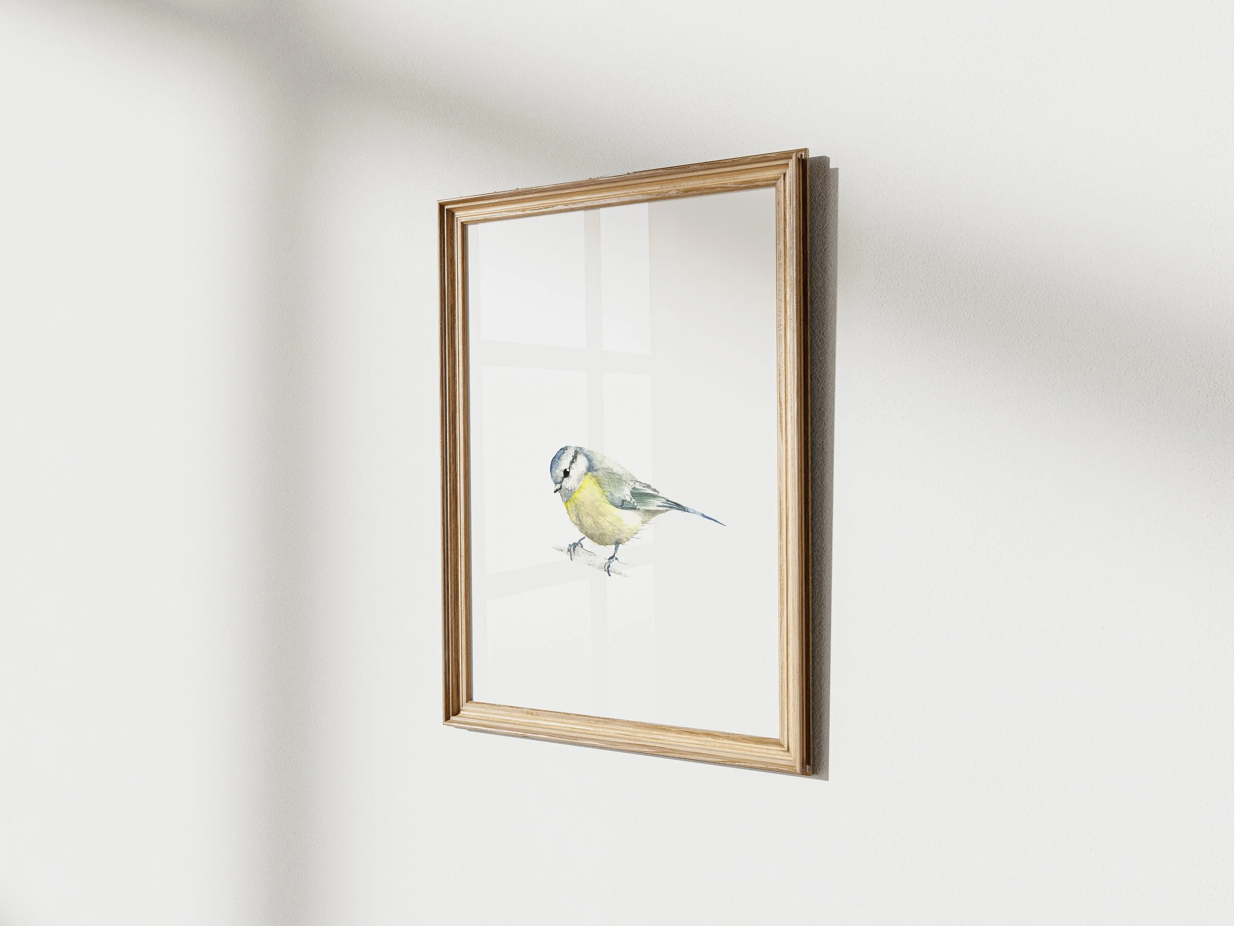 blue tit angle frame.jpg