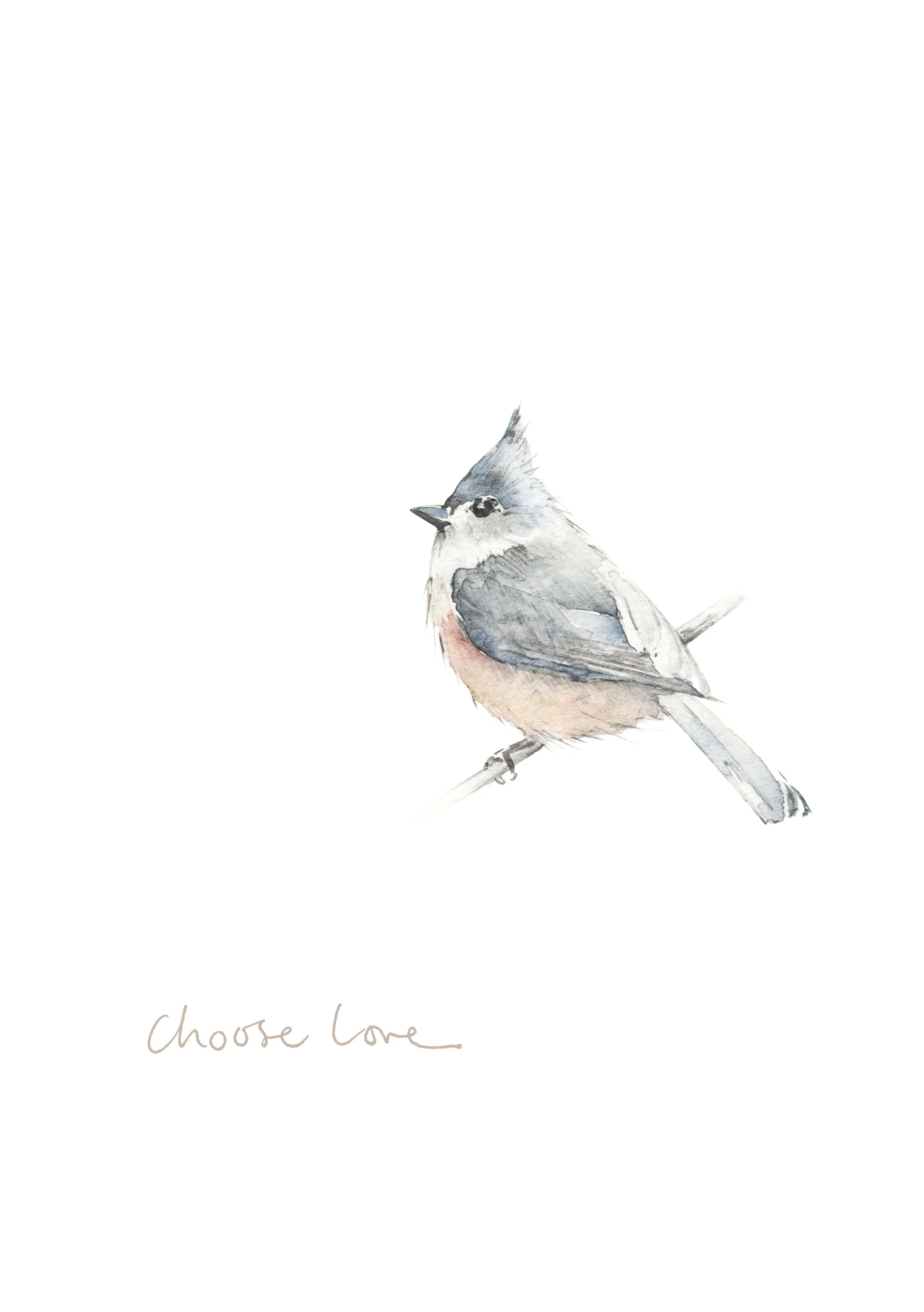 Tufted titmouse choose love print.jpg