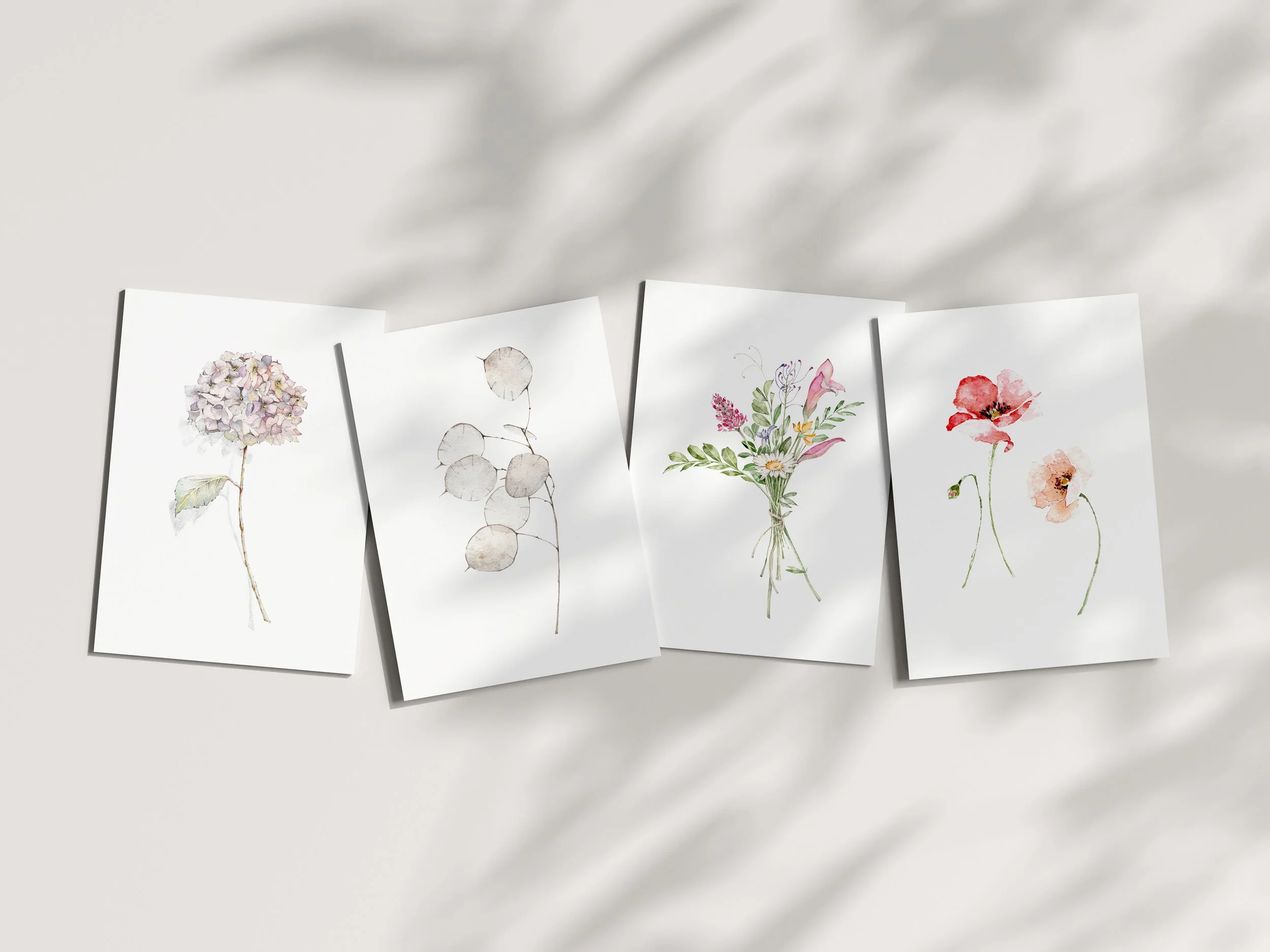 set of plants cards.jpg