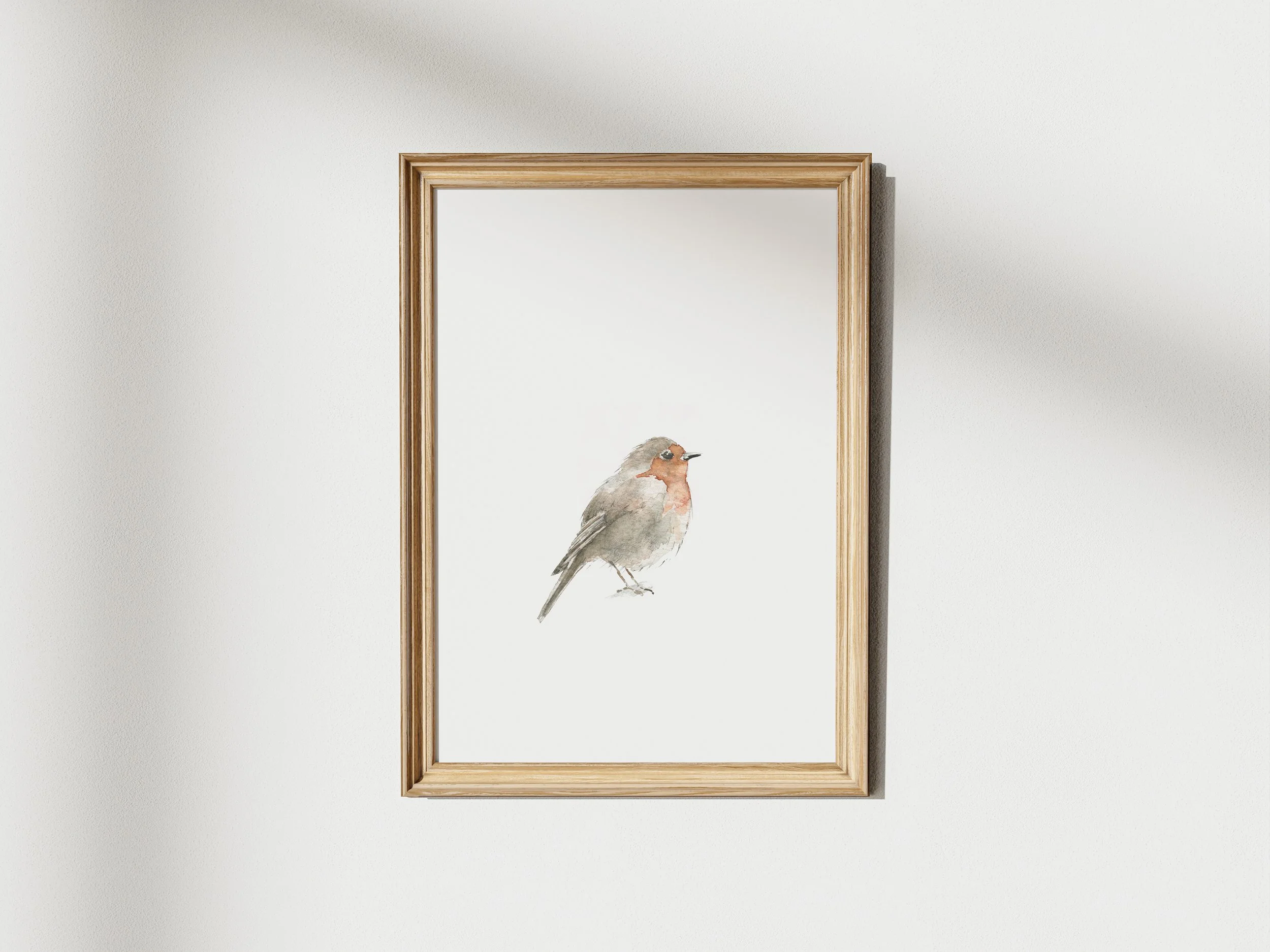 robin single frame mock up.jpg