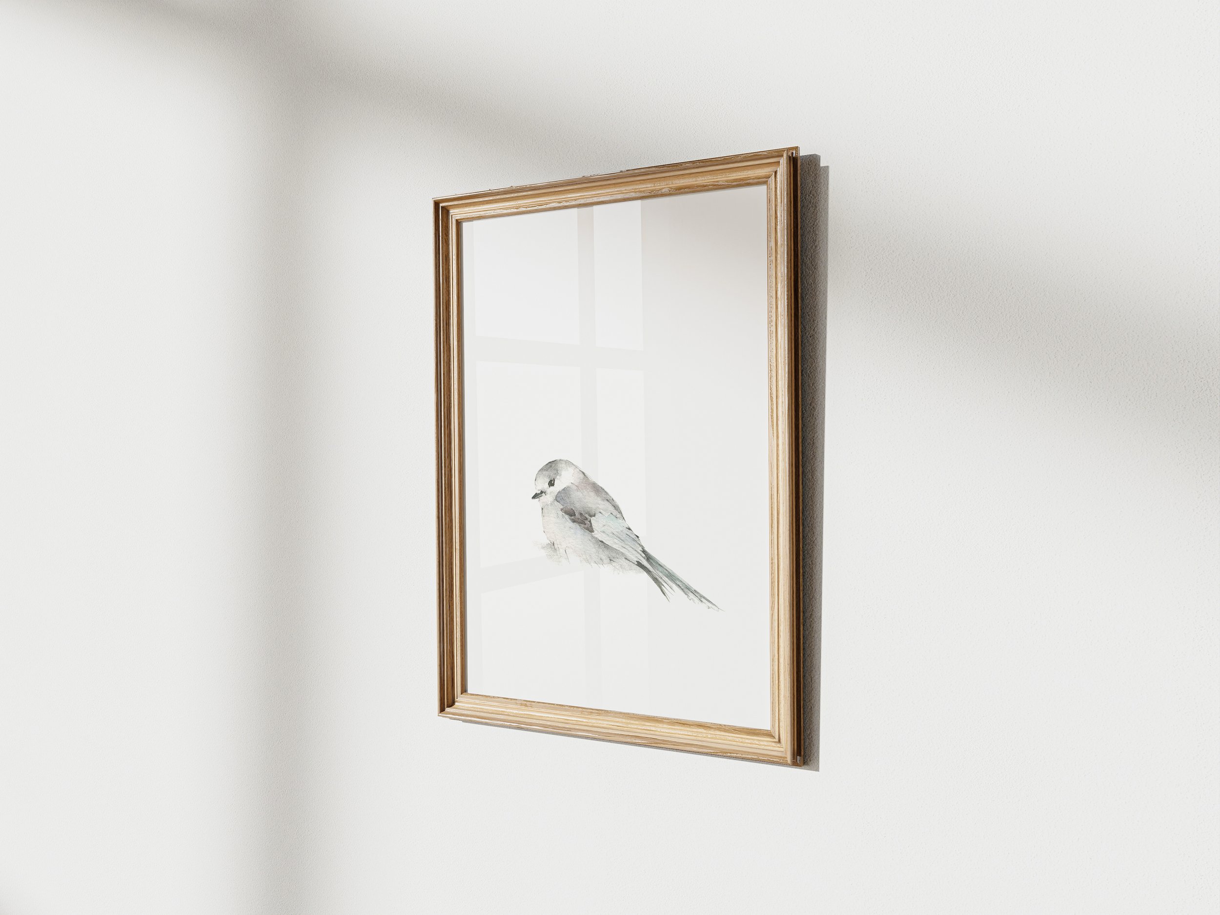 grey jay 1 Angle copy.jpg