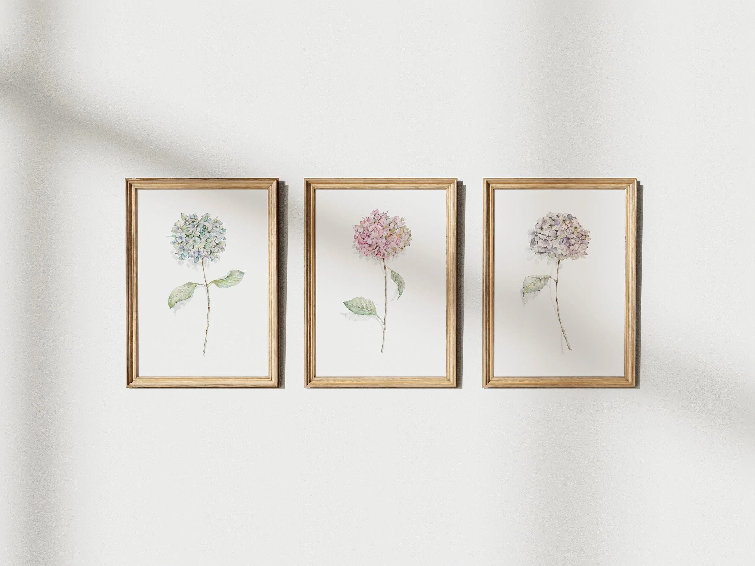 3 hortensia mock up.jpg
