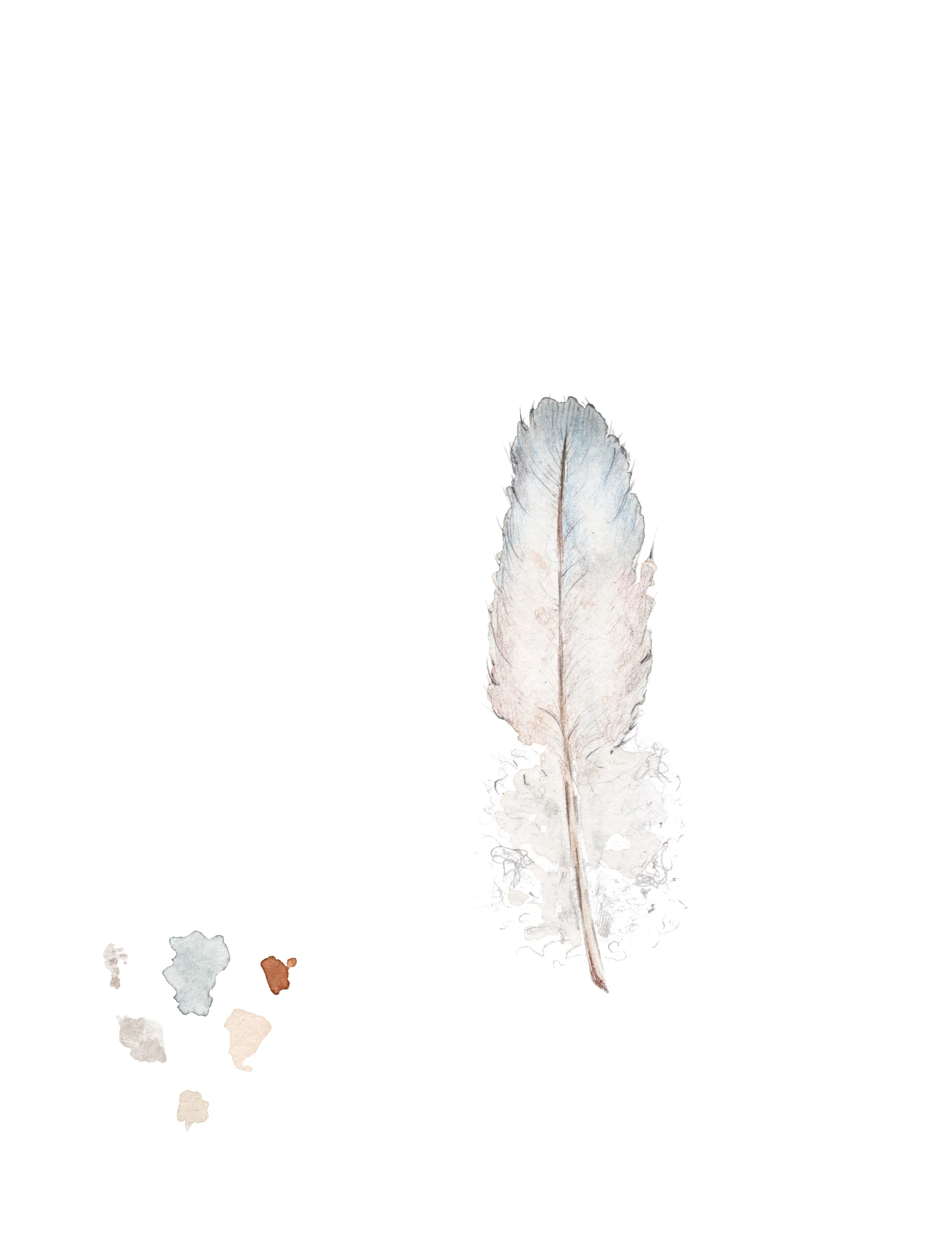 feather A5 print 3.jpg