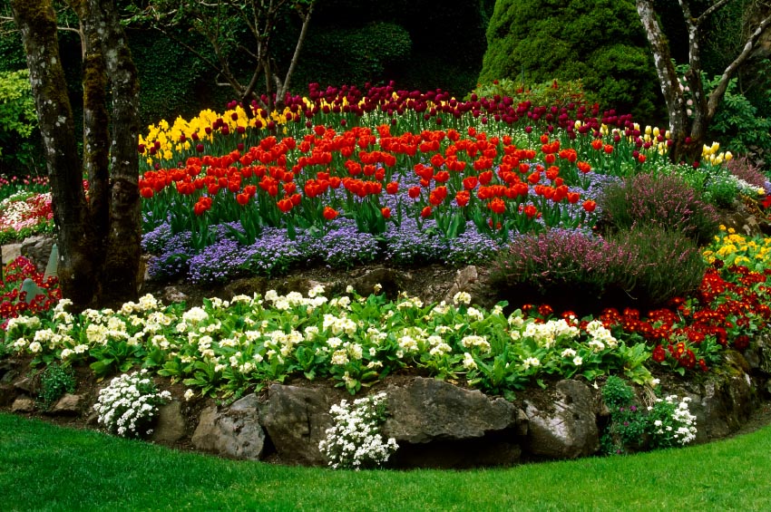 Flower Garden.jpg