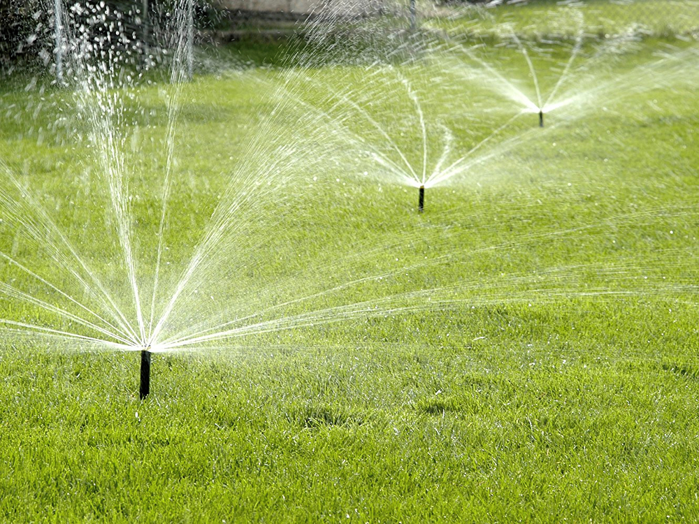 sprinkler.-01.jpg