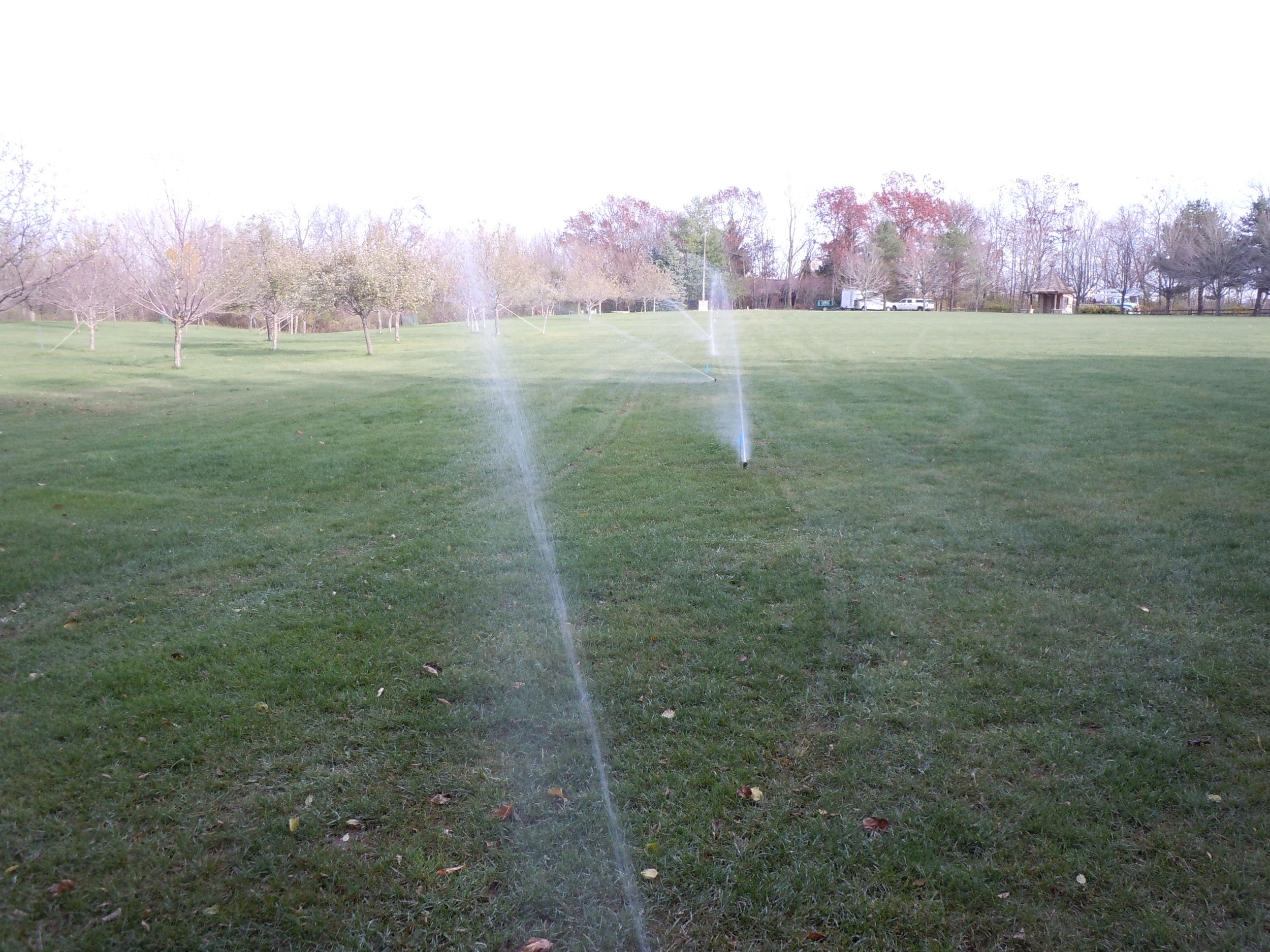 Pop Up irrigation heads in action