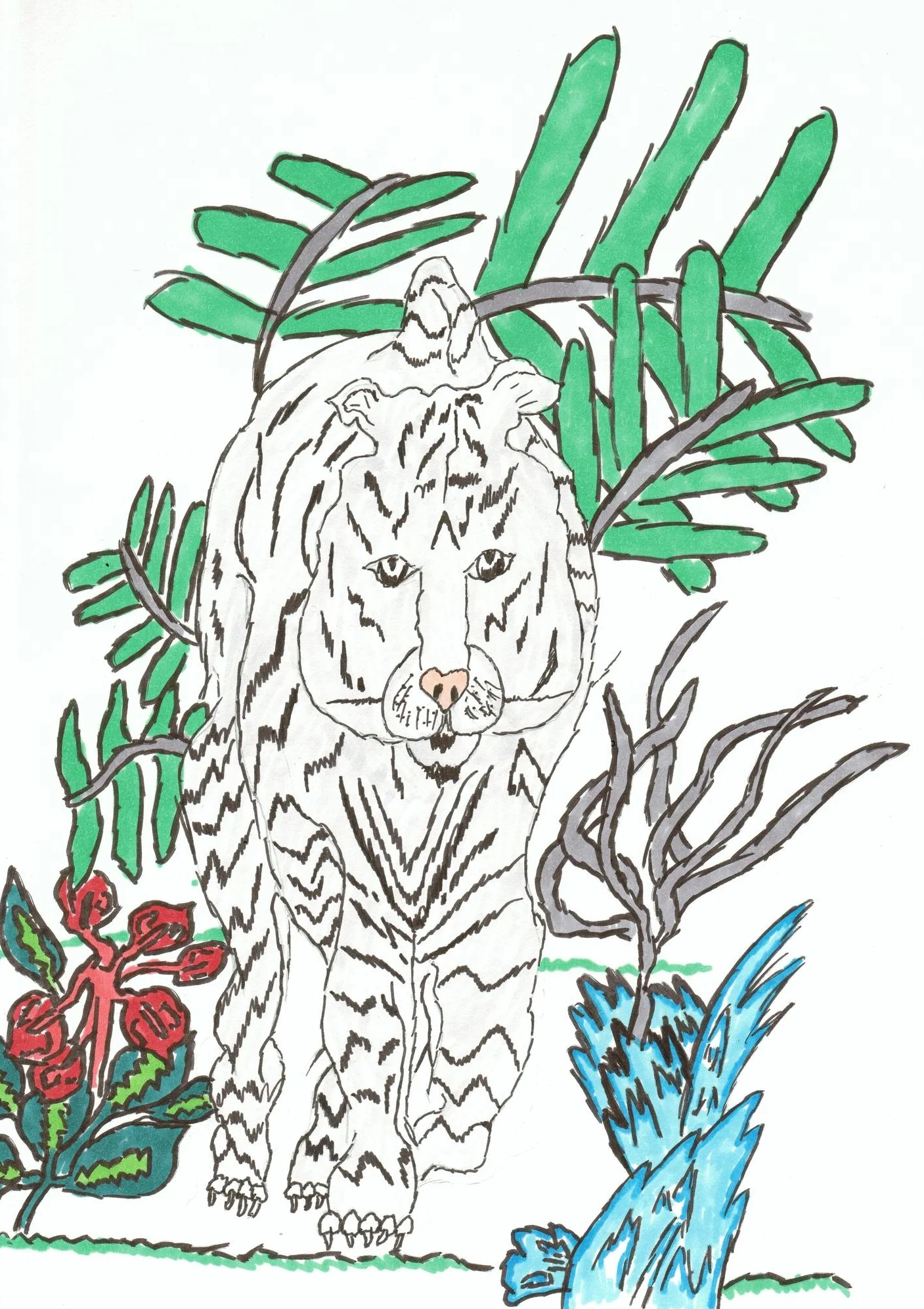 Bahaa- 11 years old