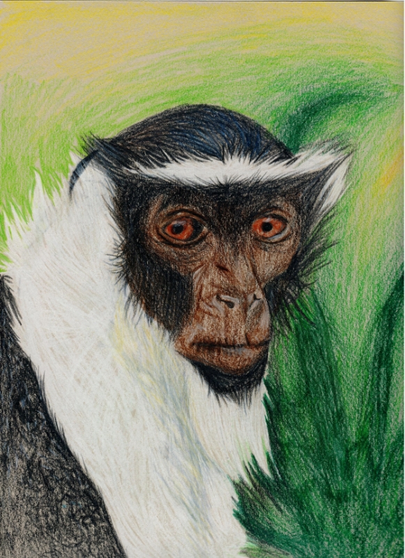Mara-13 Years Old
