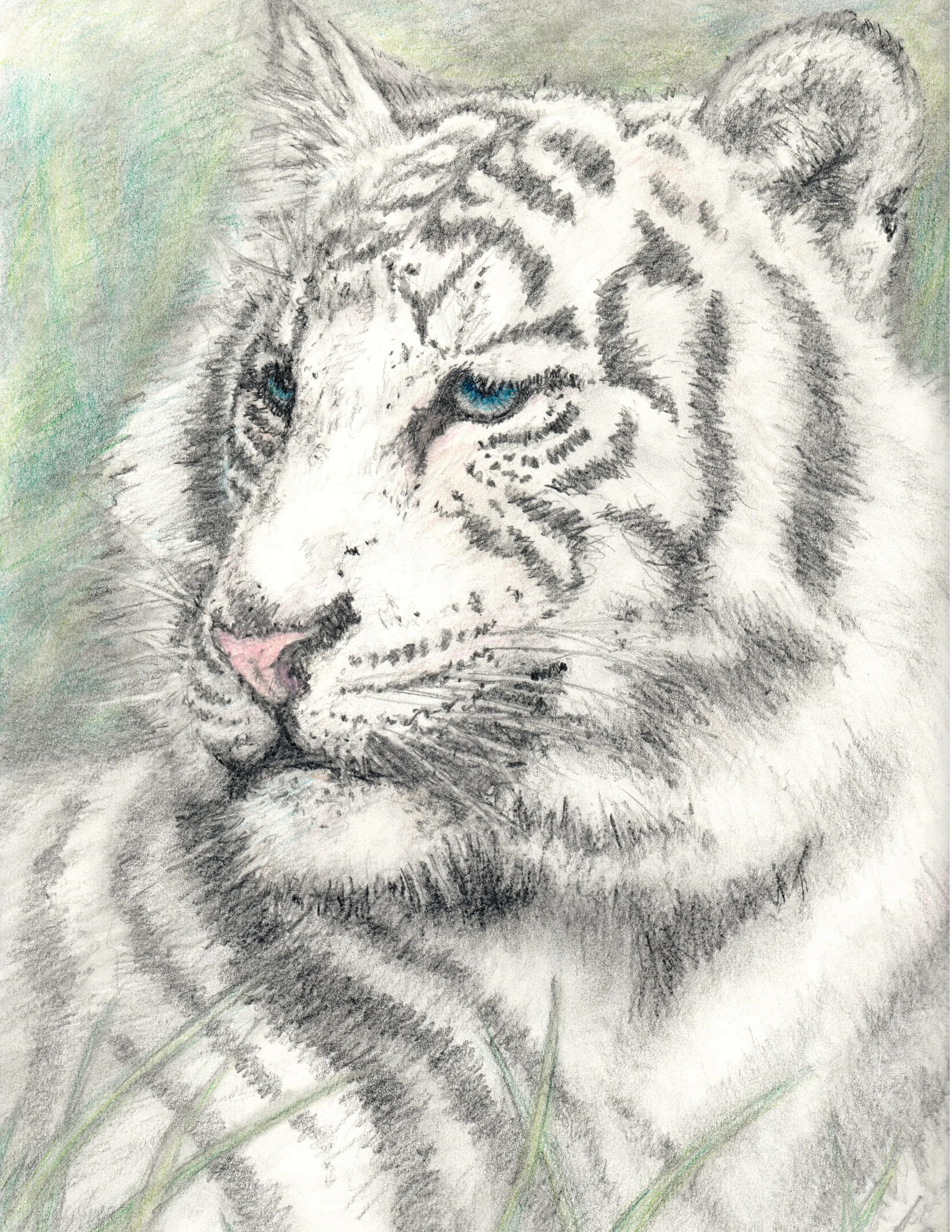 "Strength and Grace" Graphite and colored pencil By Michelle Stanley, Instructor/Director