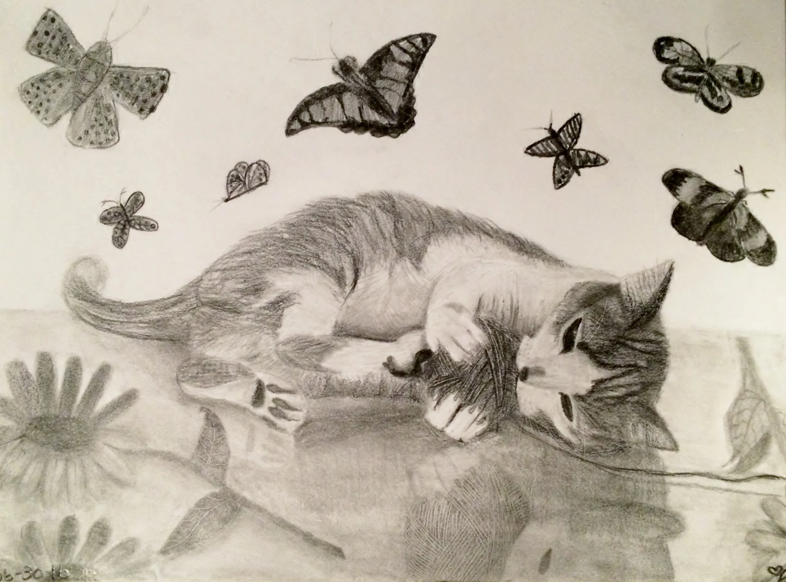 Brooke~ 15 years old.