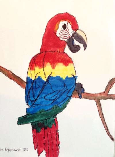 Marker drawing by Alec, 12 yrs. old.