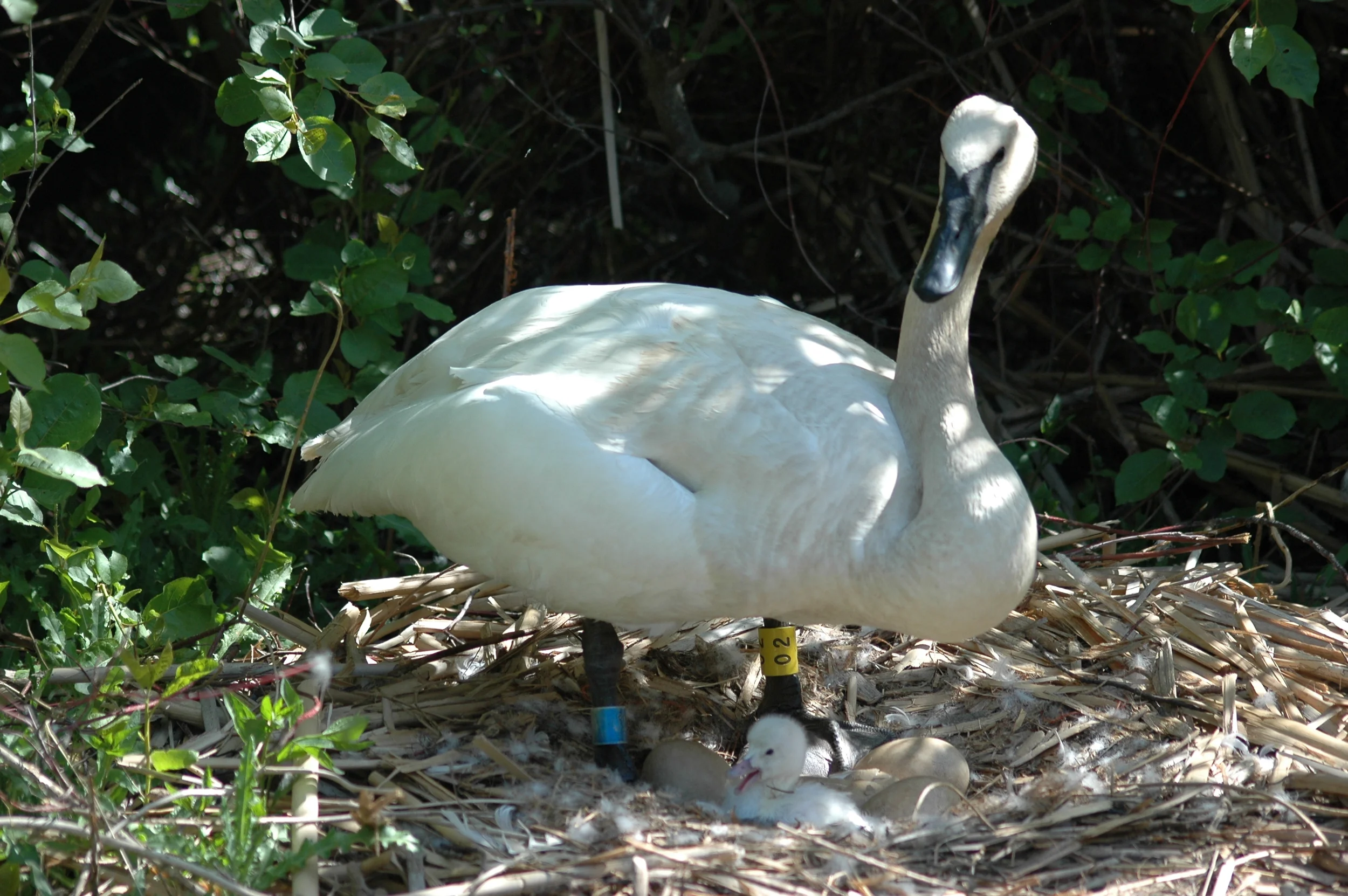 DSC_2045-055 - Copy.jpg