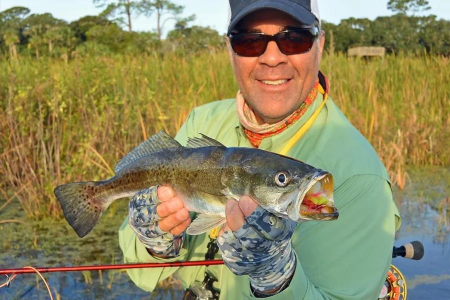 Speckled Seatrout