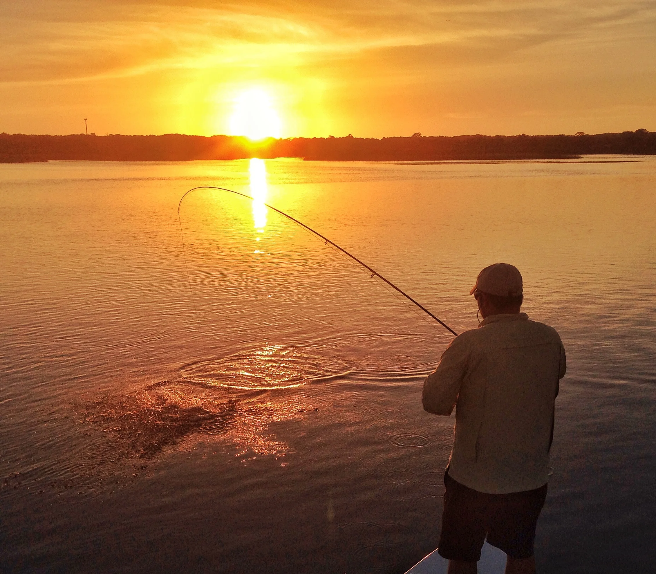Early morning action on fly!