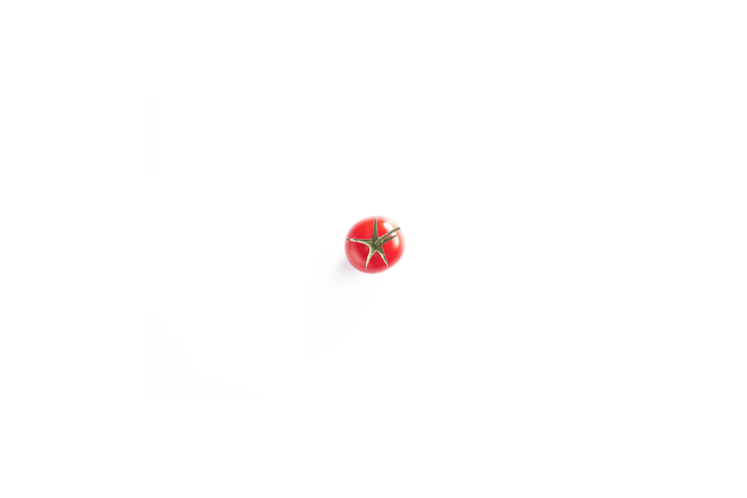 TOMATO-600-1500F.gif
