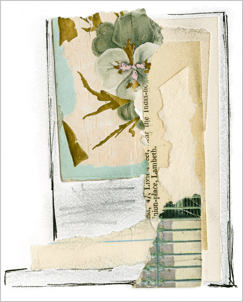 The full scan, in process, working title Grey Pansy. Candidate for my new series, Indifferent Garden. Obviously, all rights reserved by me, Kimberly McClintock.