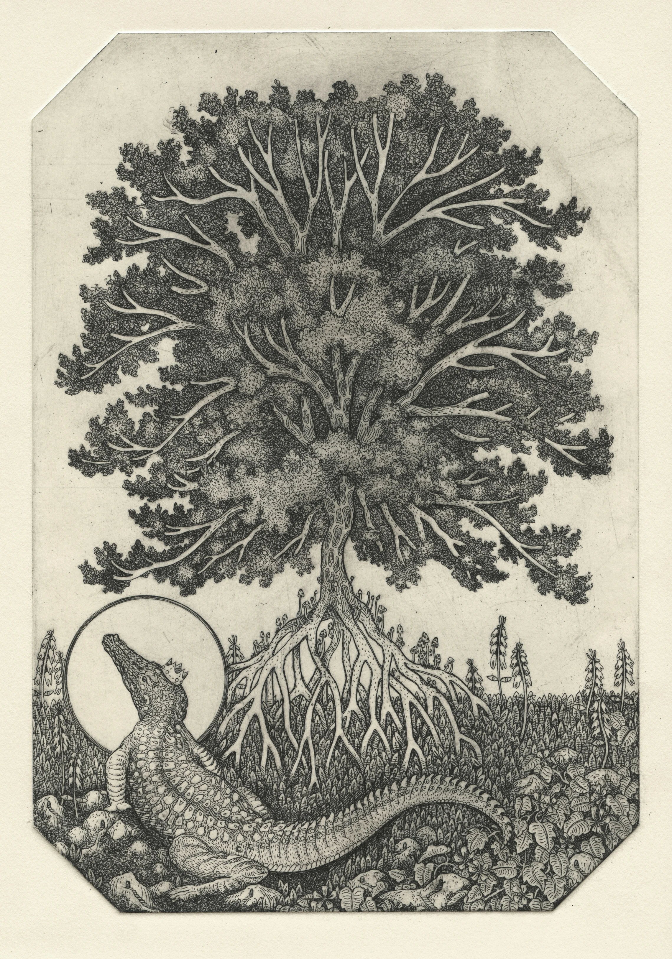 “Homegrown” – intaglio – 2017 – 9” x 12” 