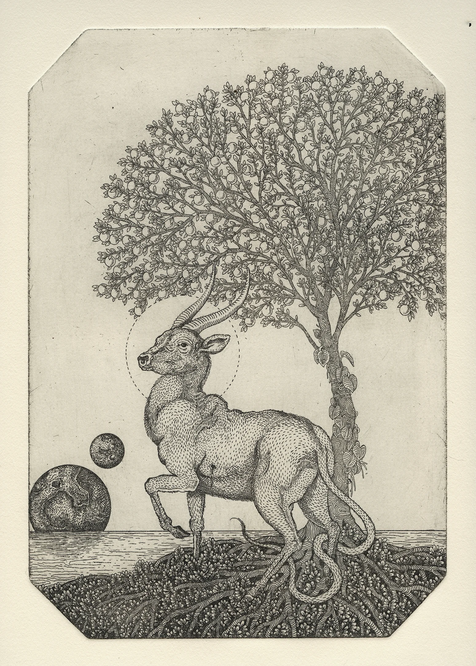 “Waiting Game” – intaglio – 2017 – 9” x 12” 