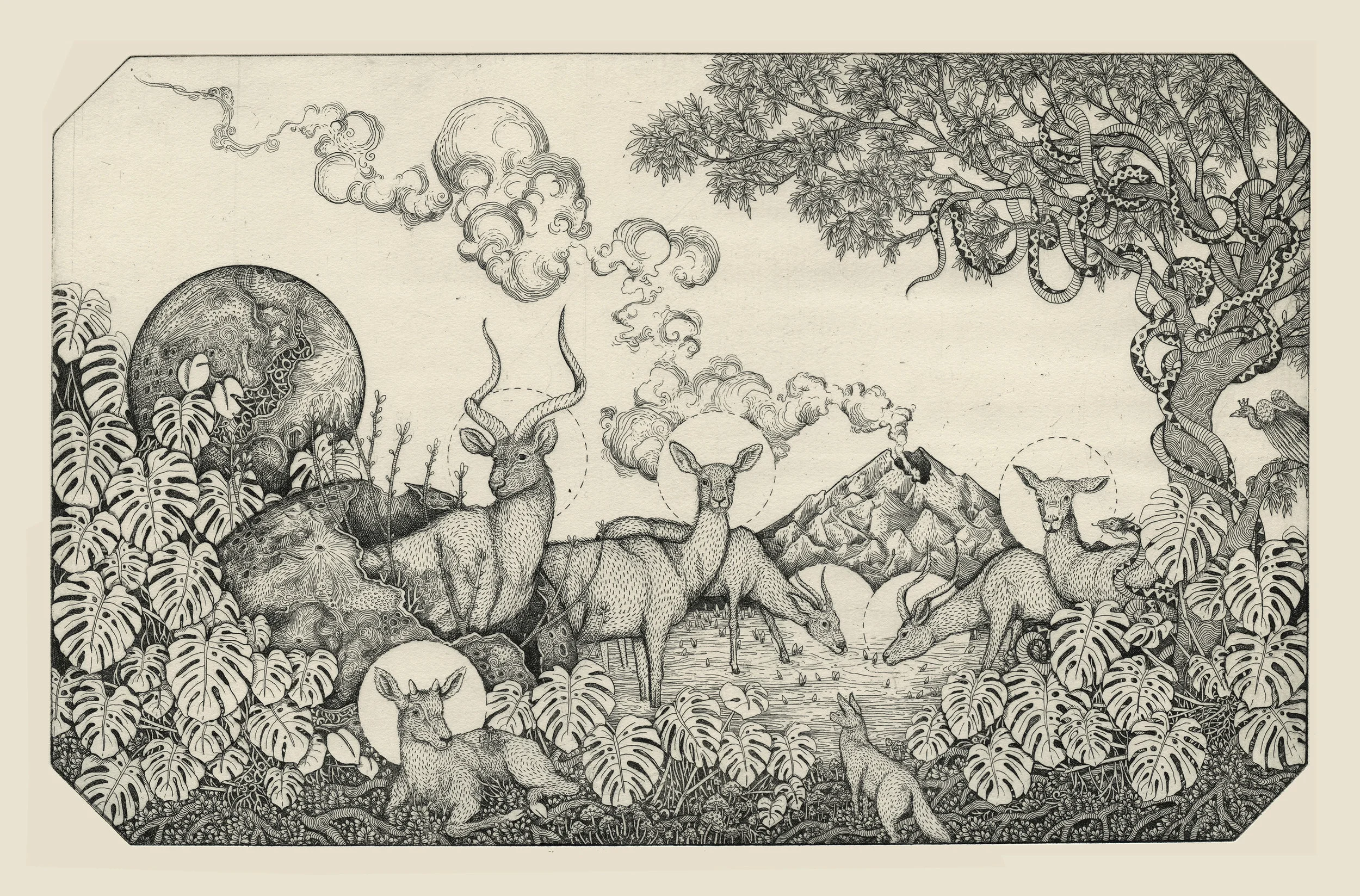 “Summer in the garden” – intaglio – 2017 – 18” x 12” 