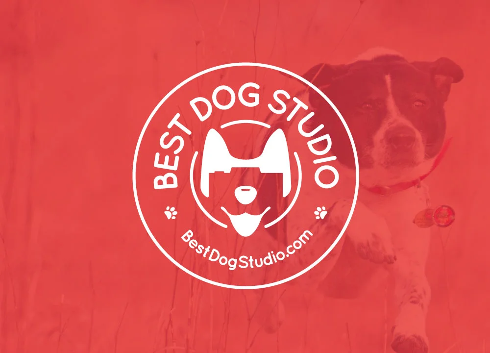 Best_Dog_Thumbnail.jpg