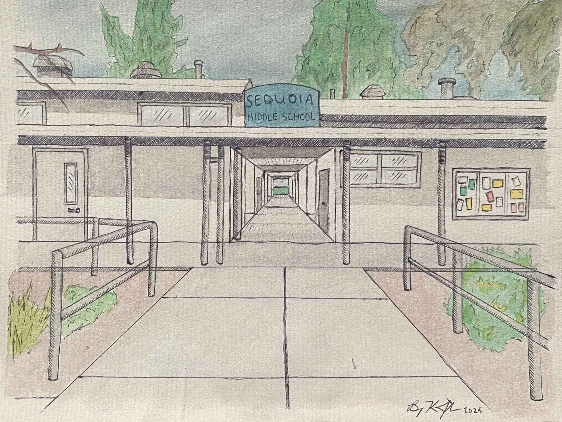 Sequoia Watercolor.jpg