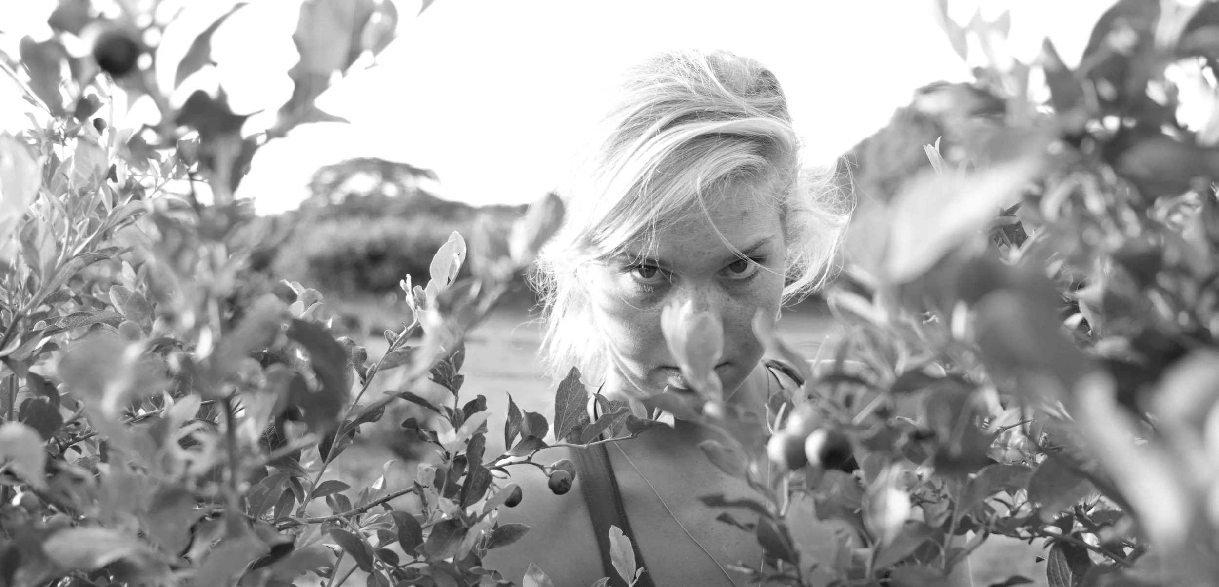 peepingthruberries.jpg