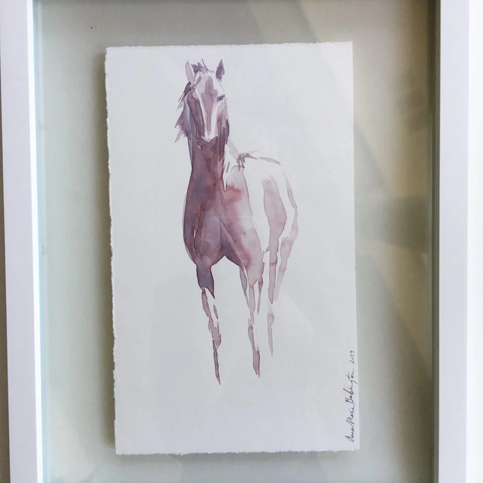 horse1.jpg