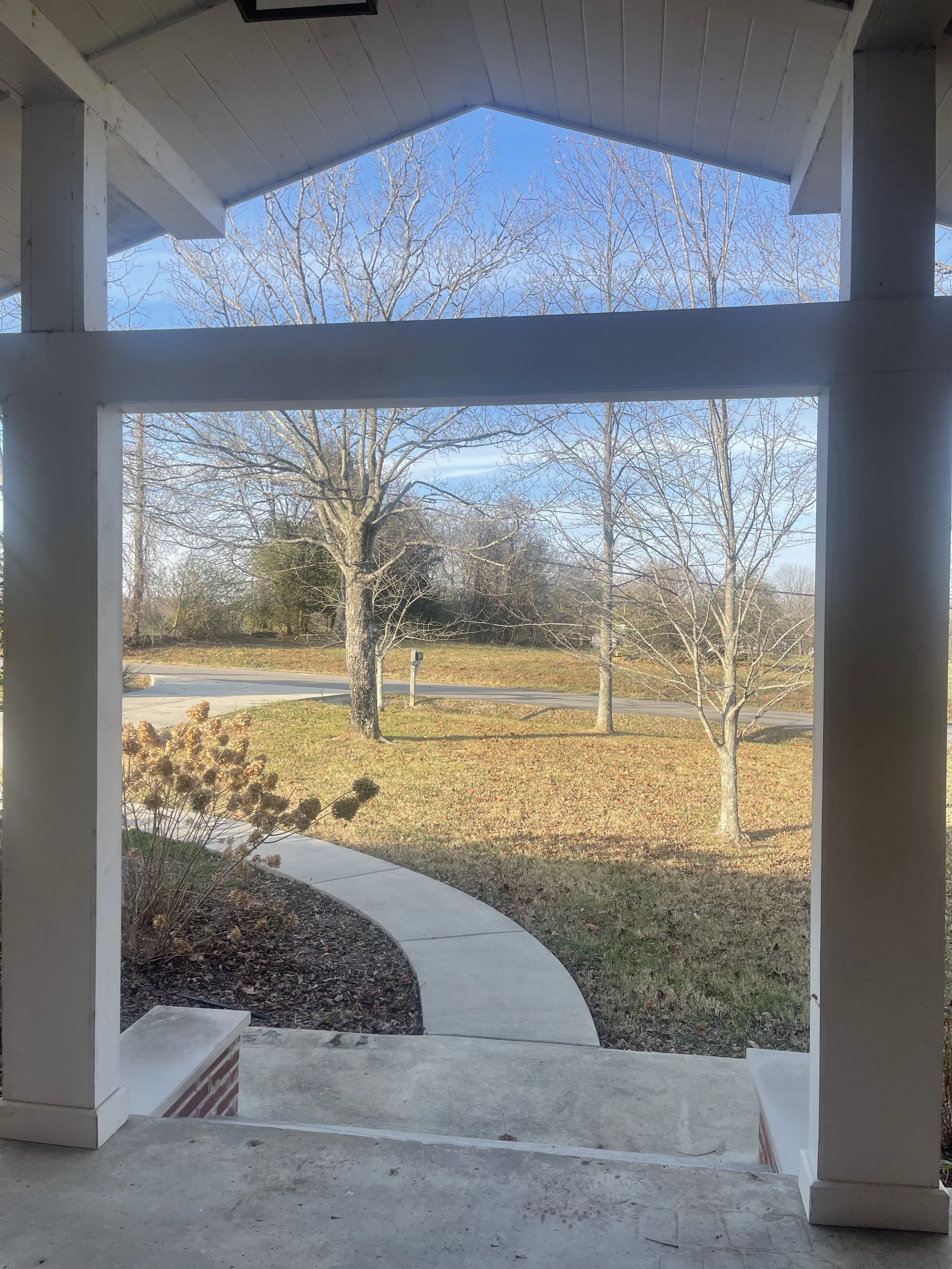 2 View from the front door.jpeg