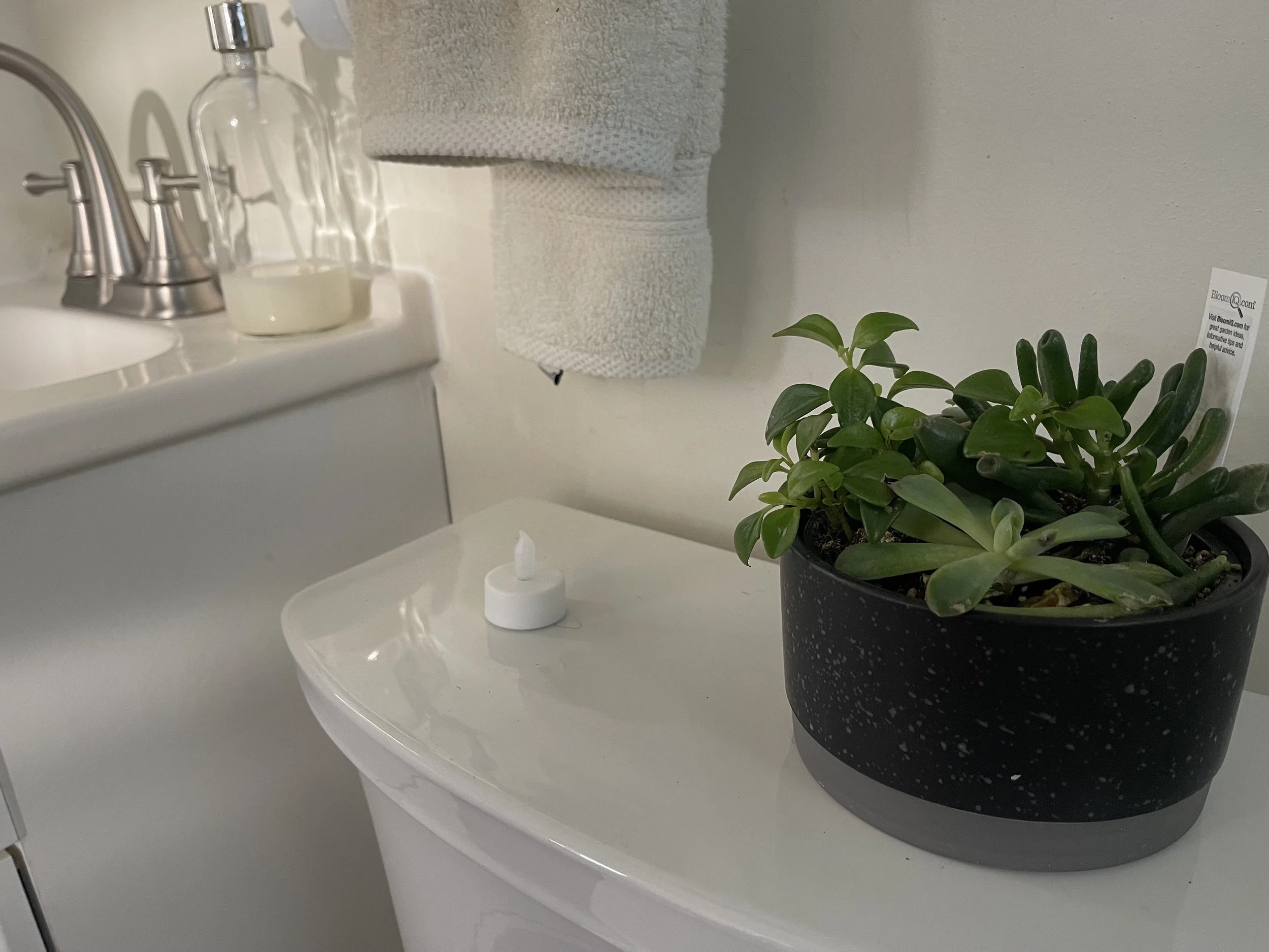 26 Shower bath succulent detail.jpeg