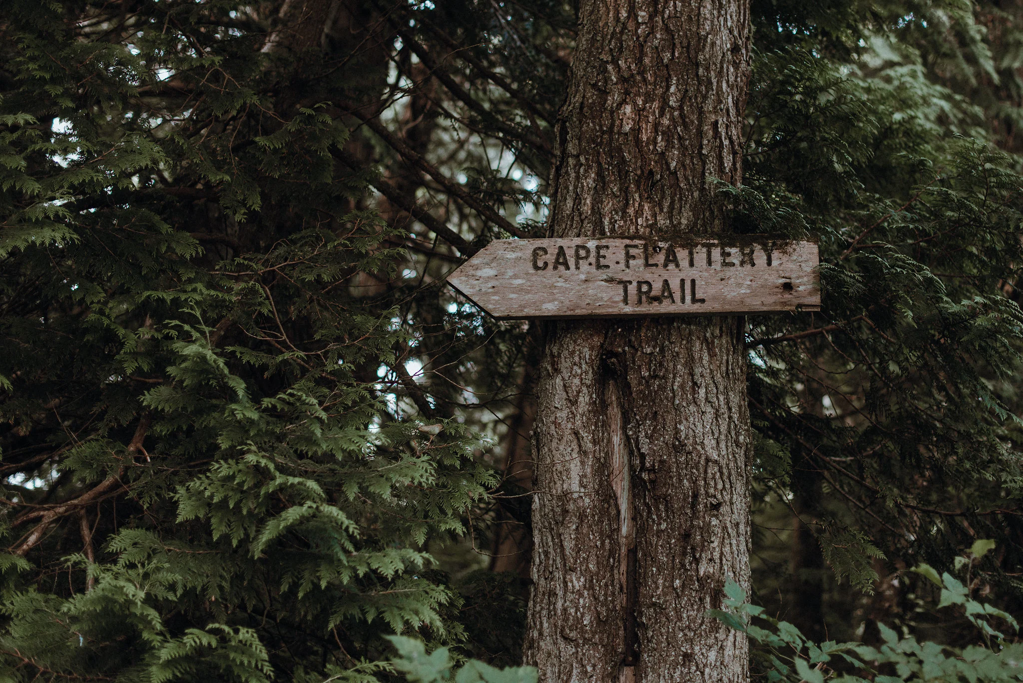 WASHINGTON CAPE FLATTERY TRAIL HEAD MARKER. 