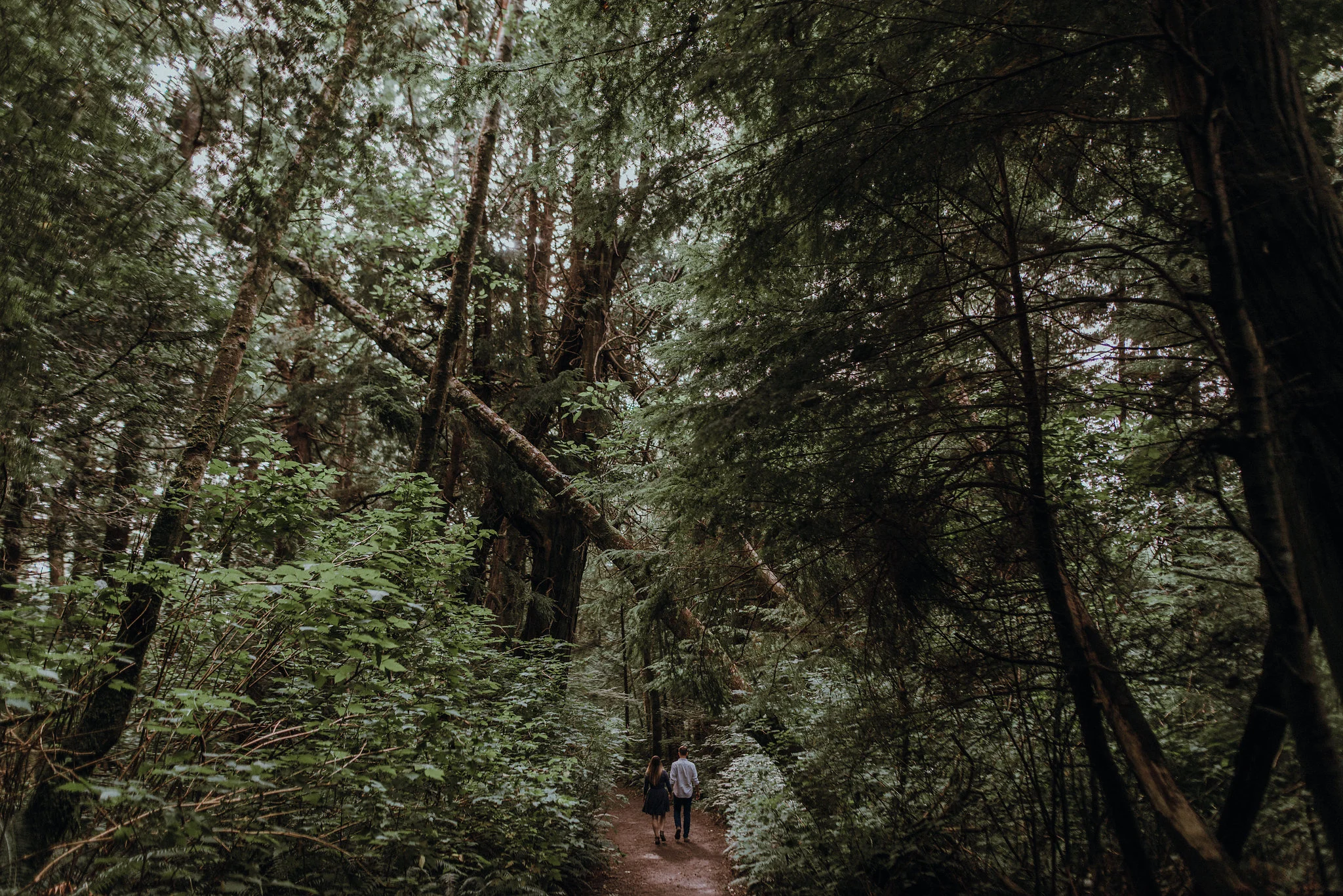 Pacific Northwest forest engagement session.