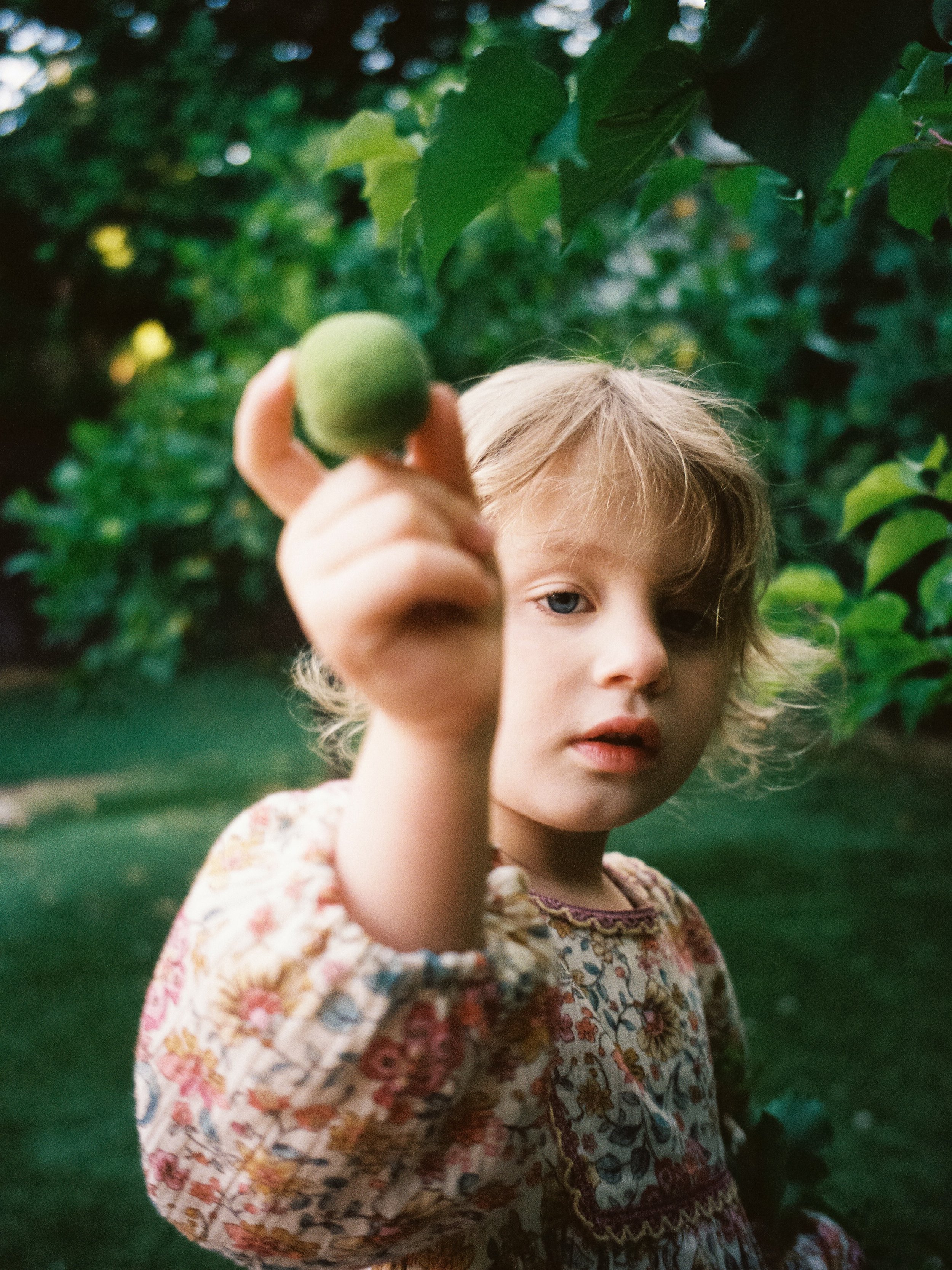 It&rsquo;s the quiet moments that become the memories. And if they don't remember them, you&rsquo;ll have a photograph to tell the story. 

Like this image here. Amelia was exploring a fruit tree in her great grandmother's back yard. A simple excursi