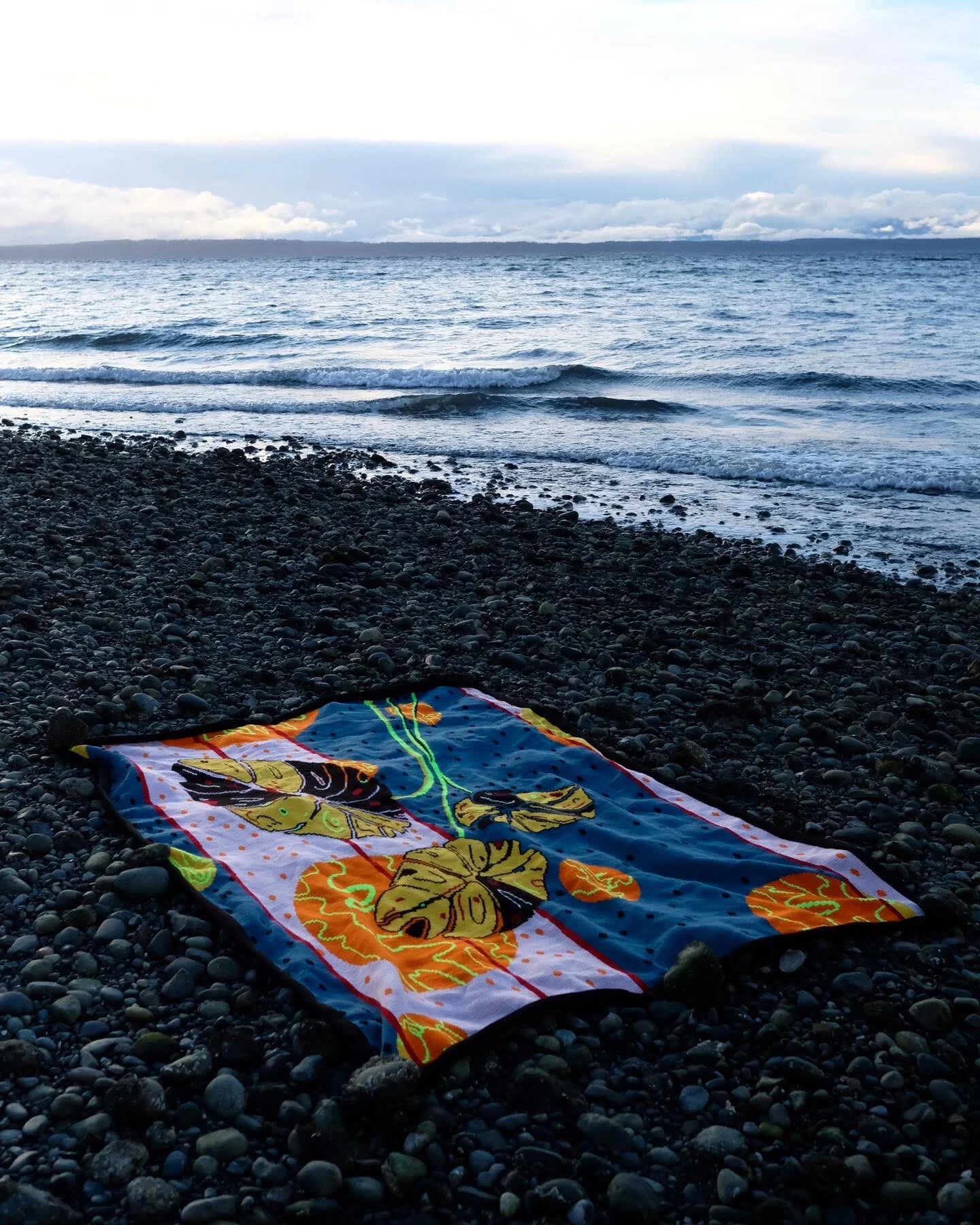 seq art for ash.jpeg