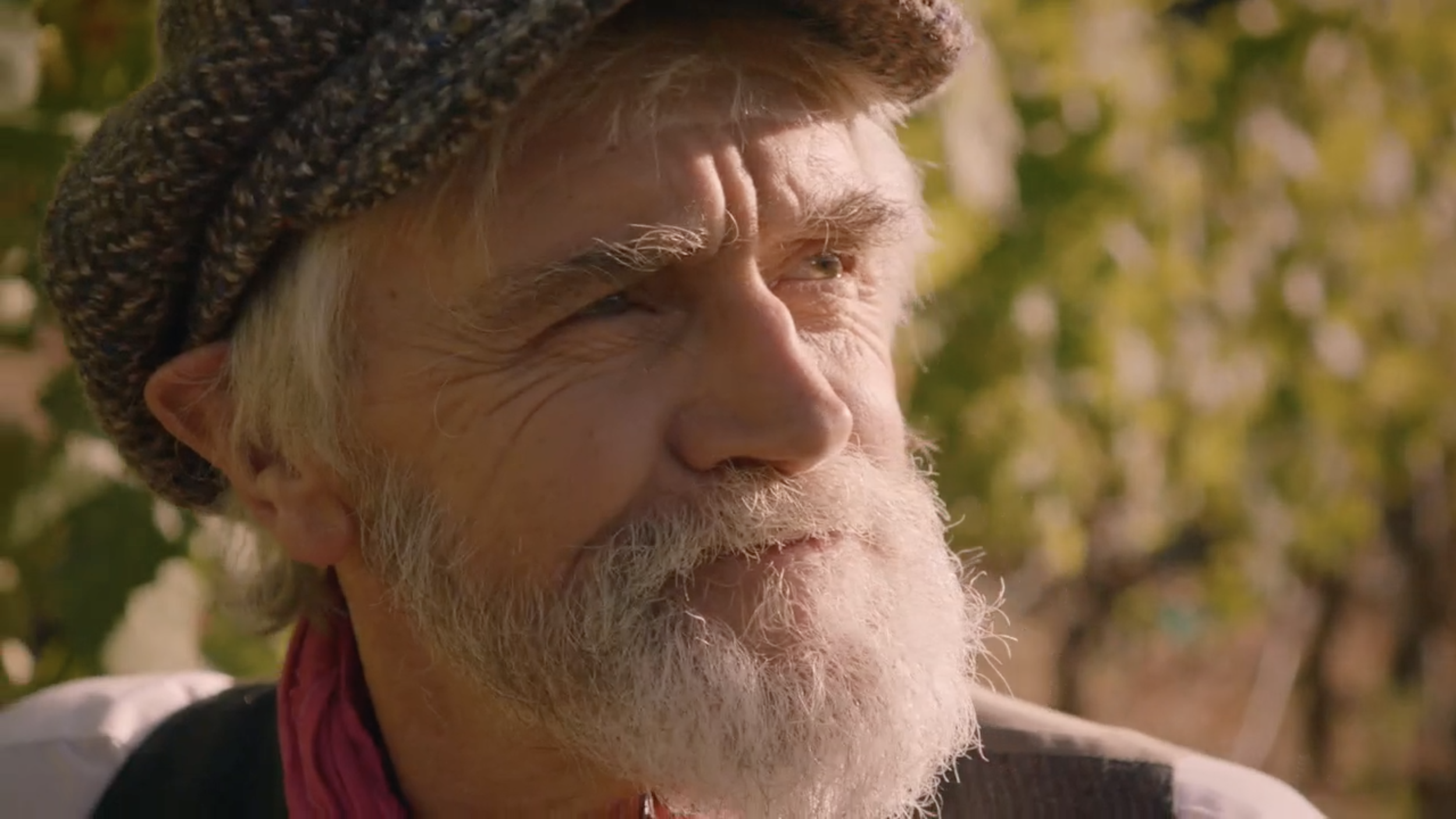 Screen Shot 2017-08-11 at 9.46.04 PM.png