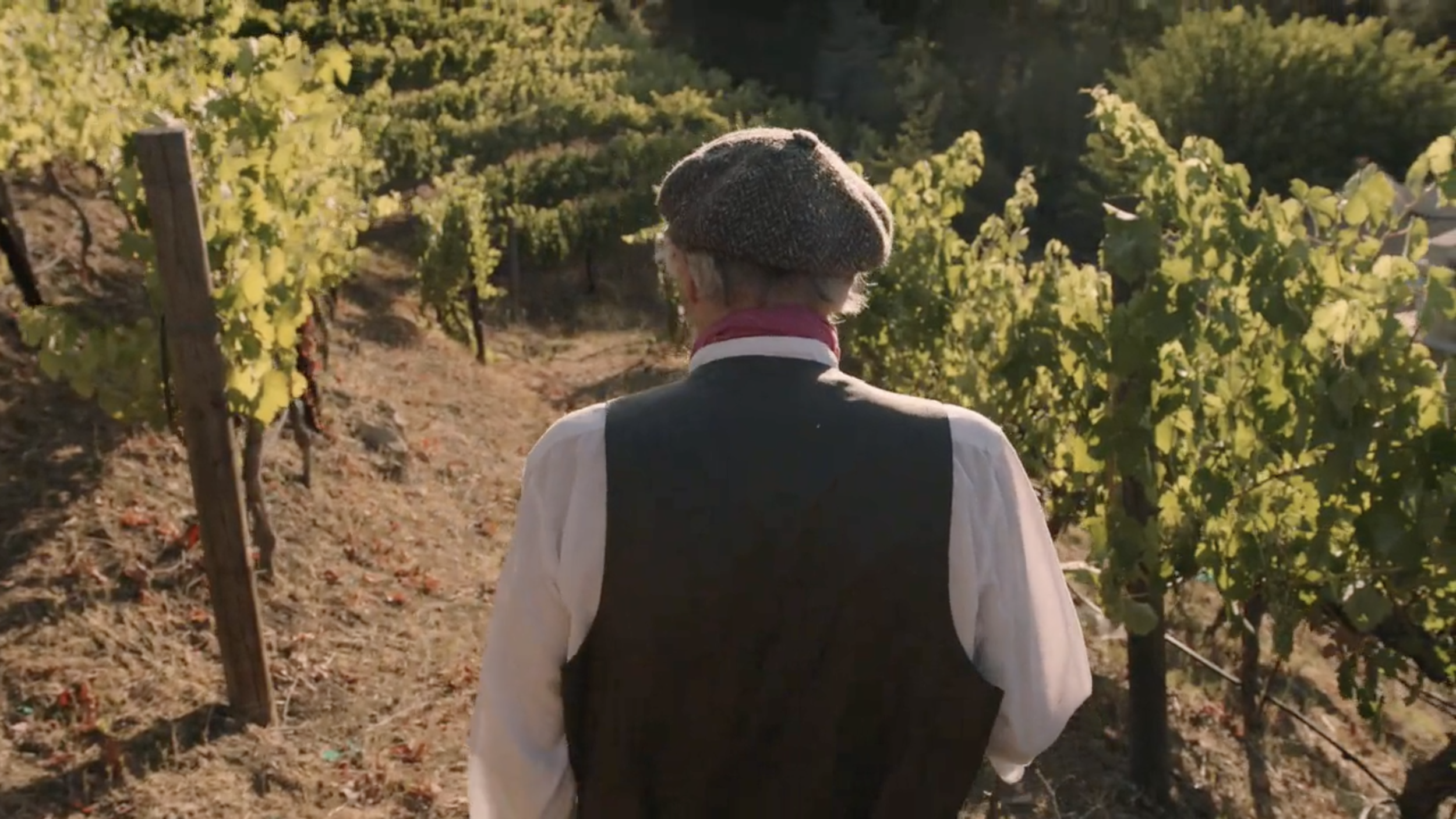 Screen Shot 2017-08-11 at 9.45.49 PM.png