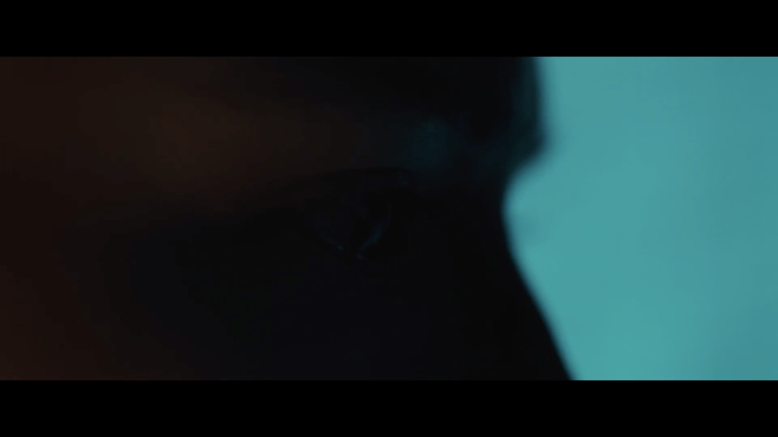 Screen Shot 2019-07-11 at 12.37.19 PM.png