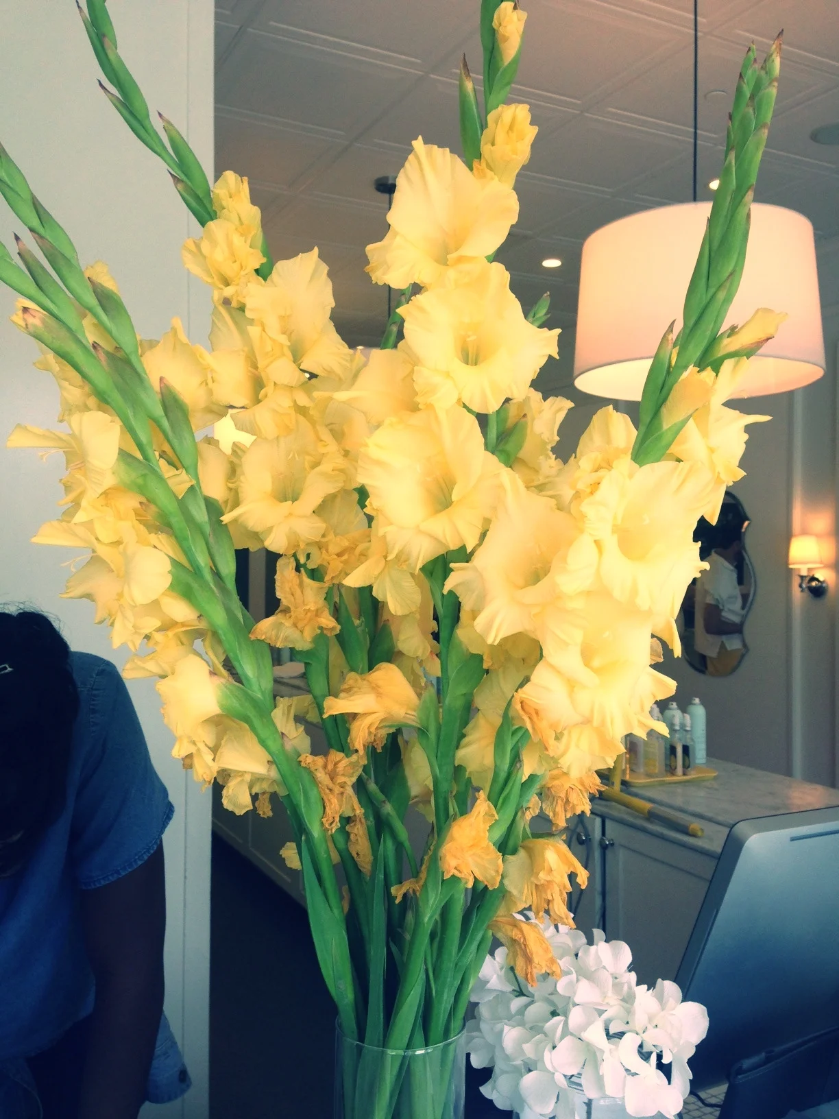 drybar 7:45am