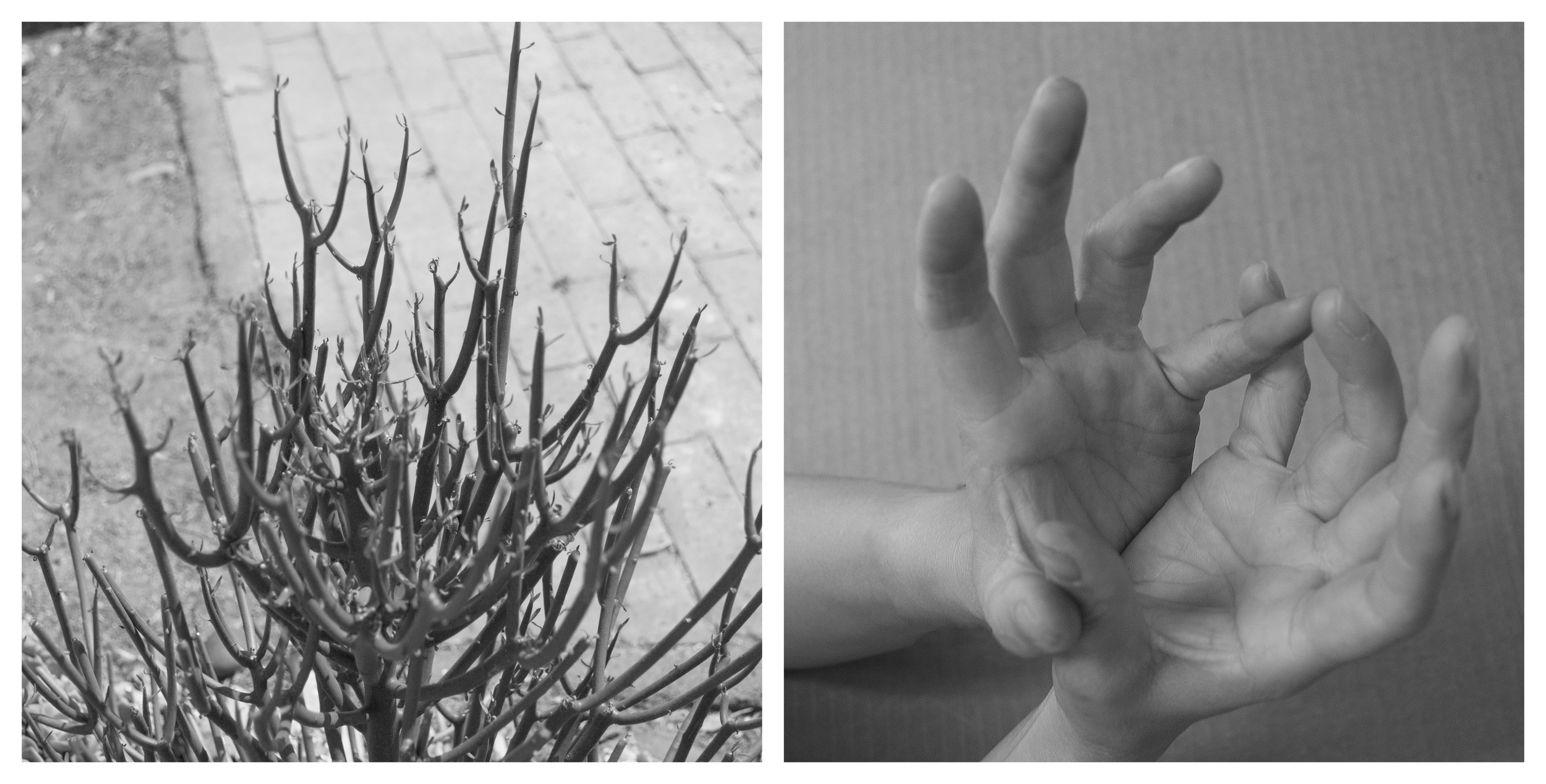 Fingers 2016