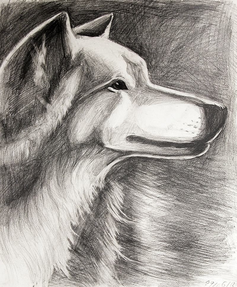 Lone Wolf 2013