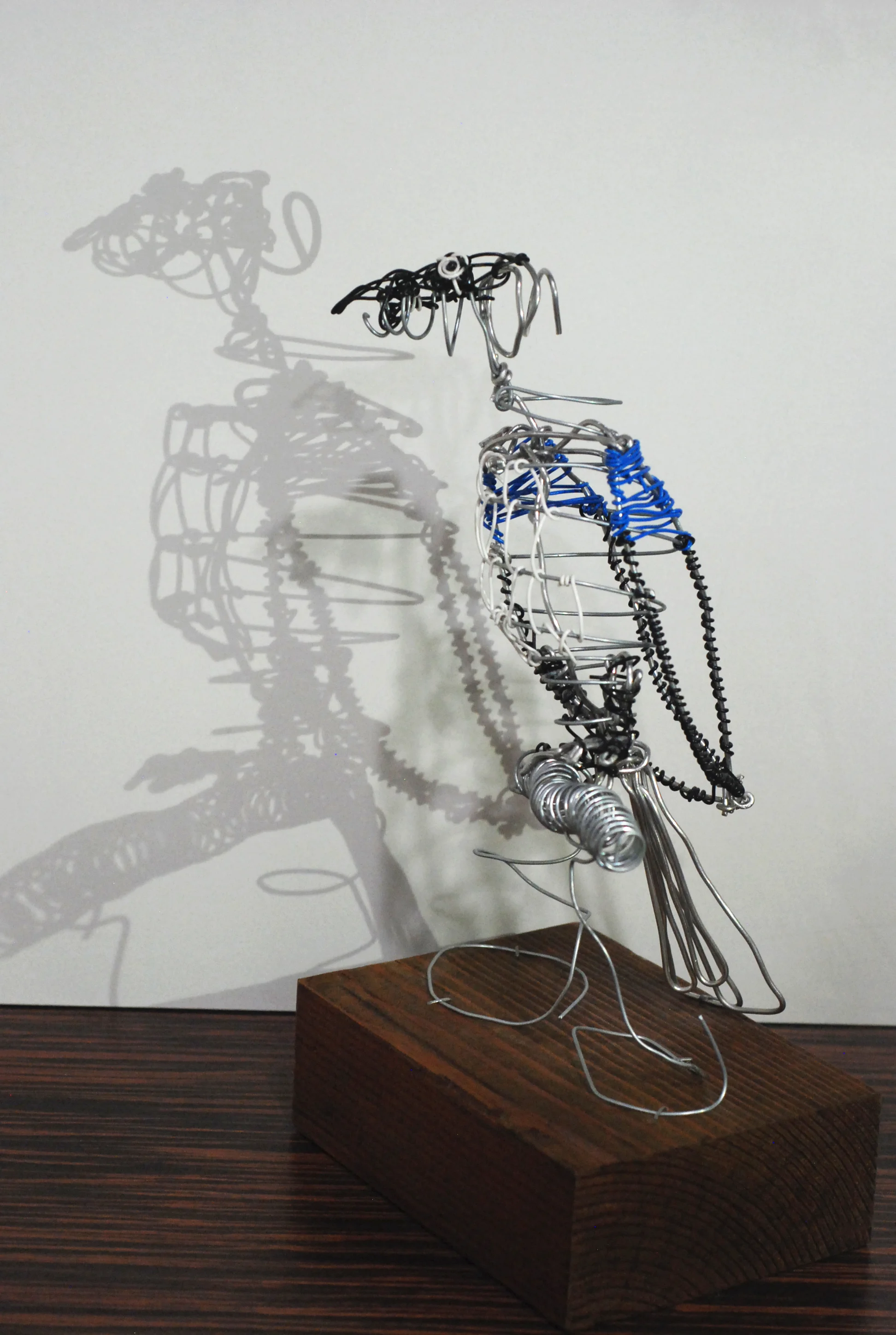 Bluejay pt.2 2014