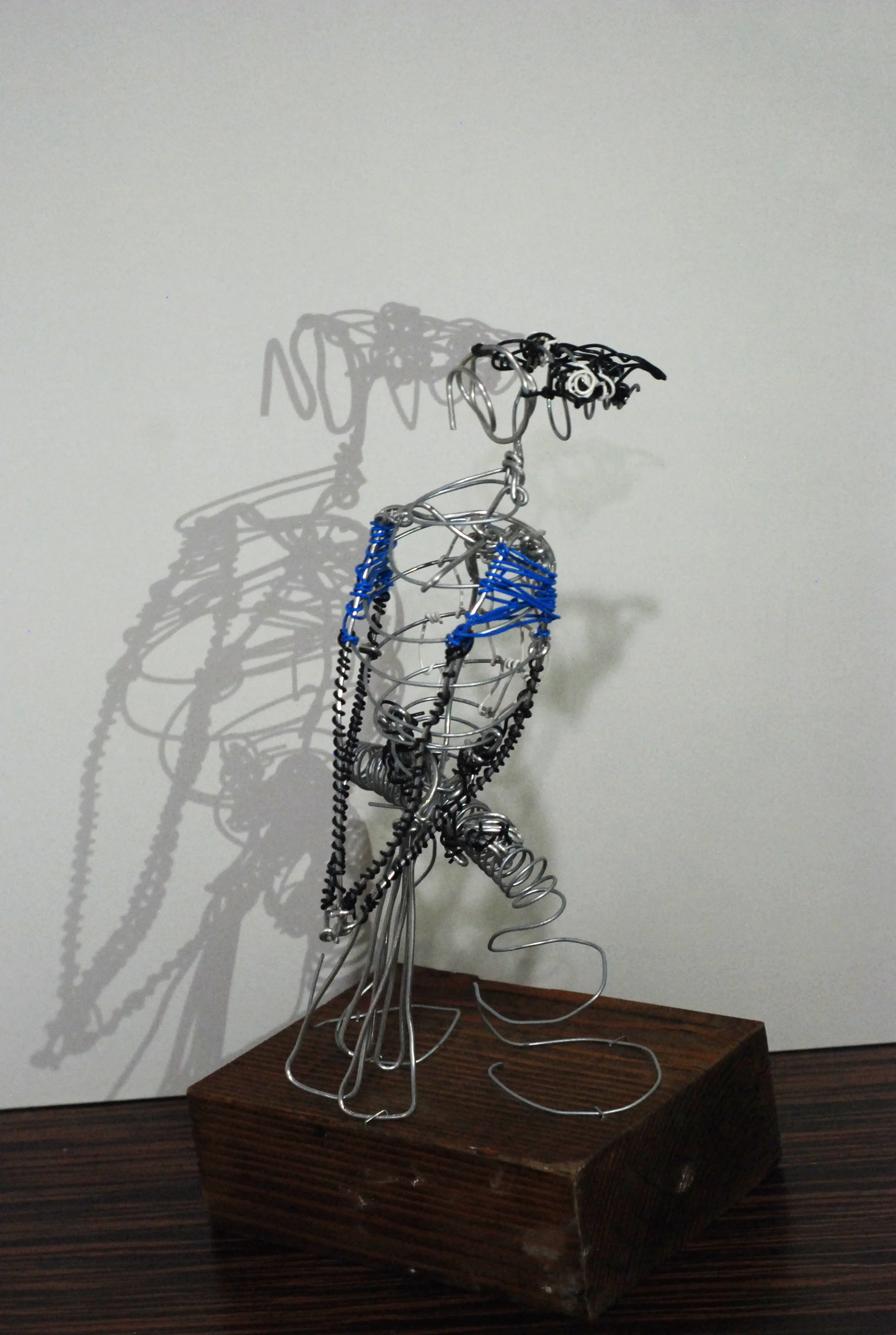 Bluejay 2014
