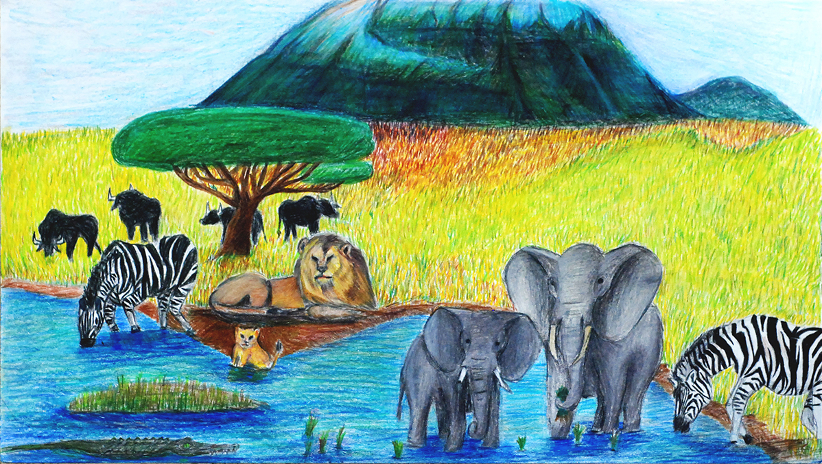 The Wild 2015